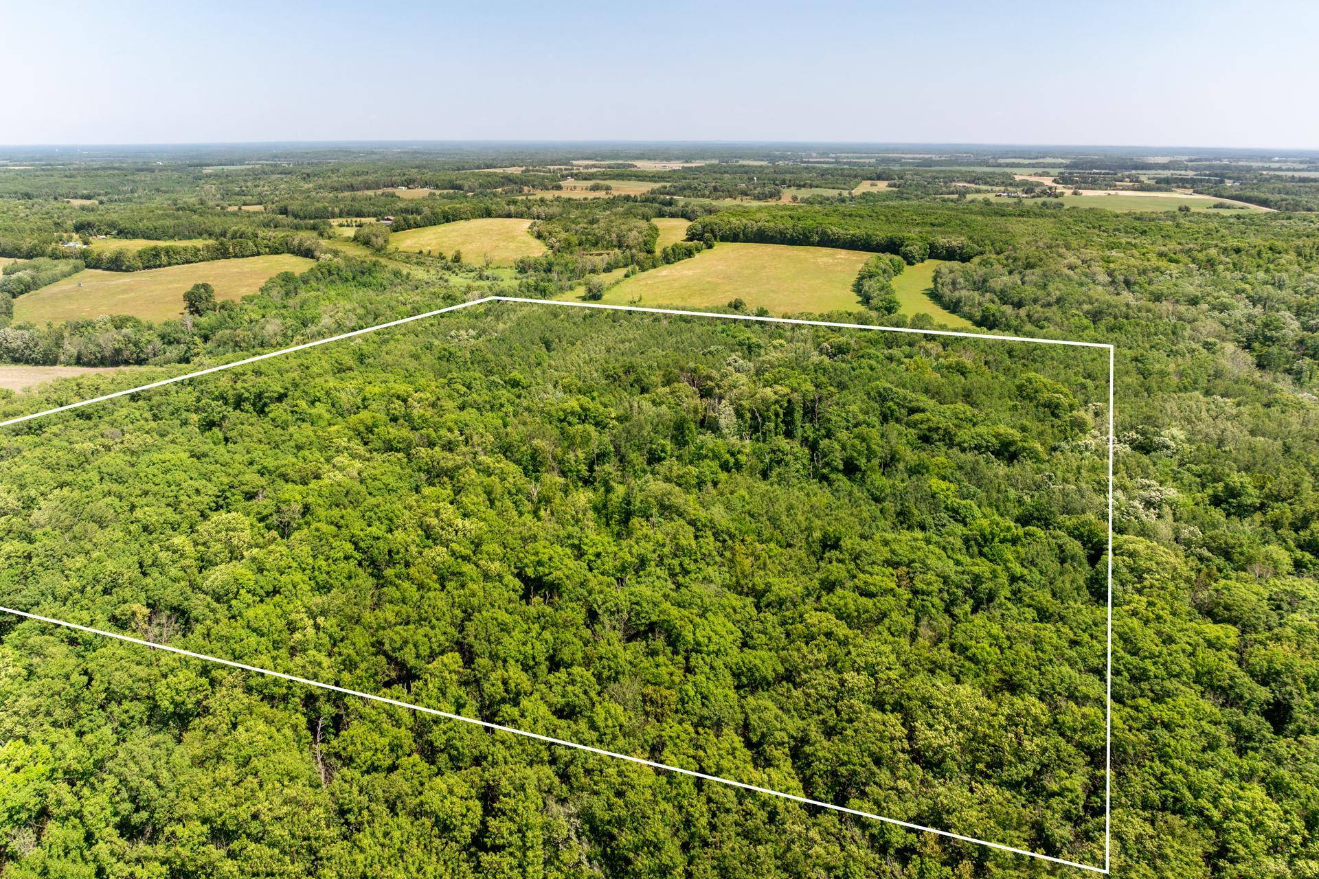 TBD 48th ST SW, Pine River, MN 56474