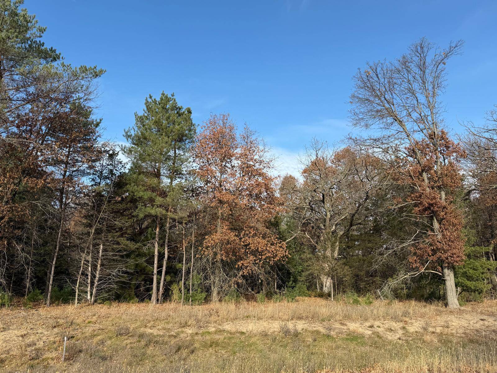 L6,Blk1 262nd AVE NW, Big Lake, MN 55309