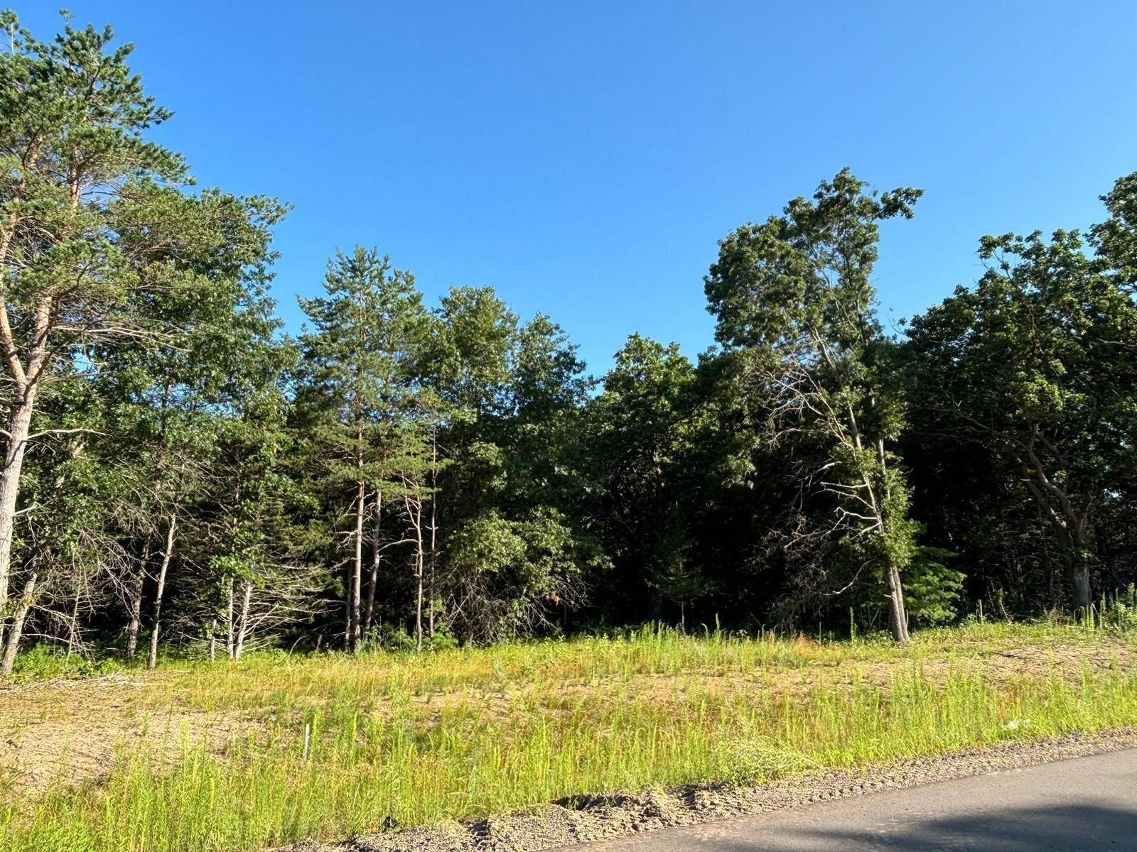 L6,Blk1 262nd AVE NW, Big Lake, MN 55309
