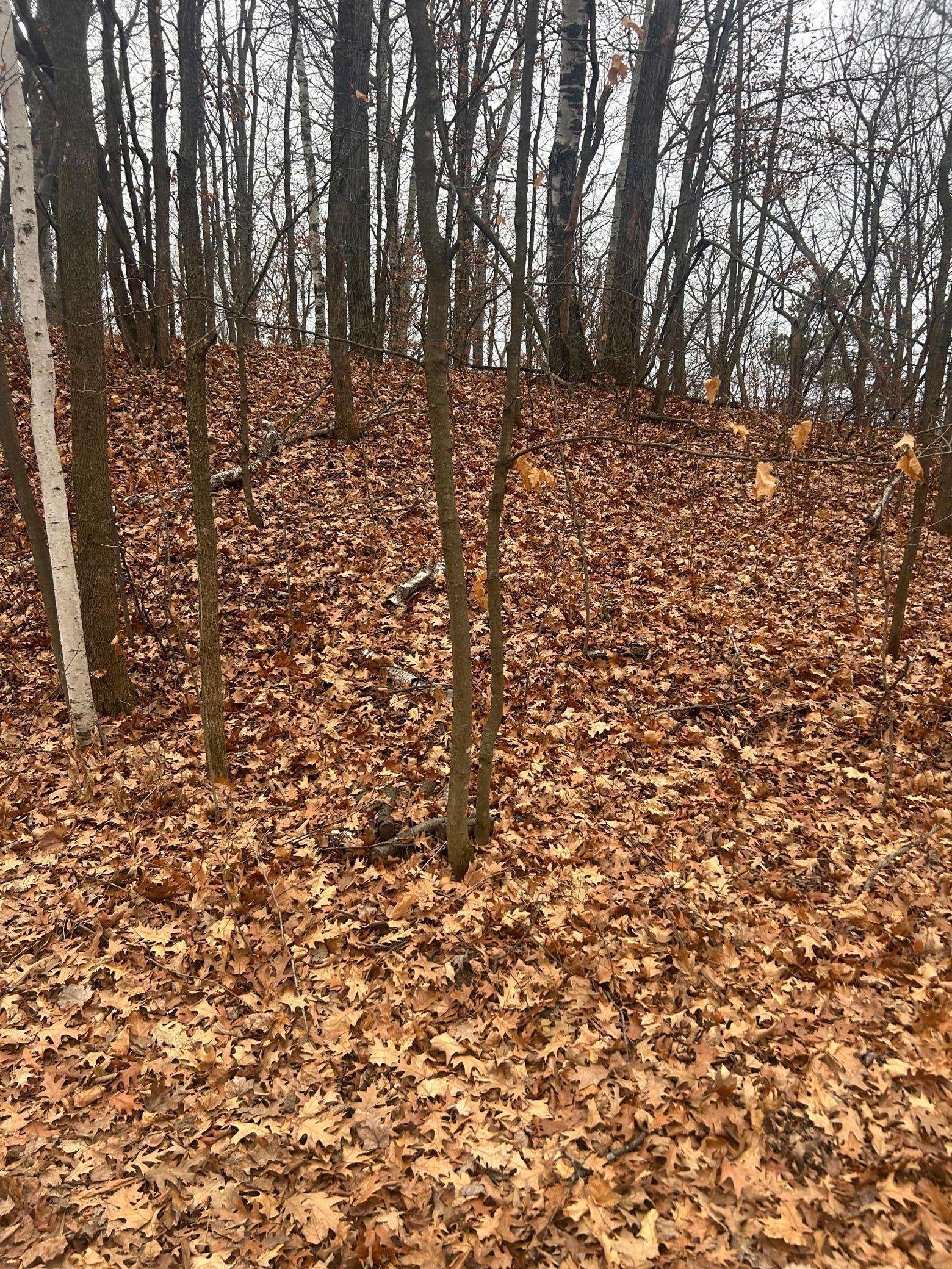 TBD Golf Course Cir, Cushing, MN 56443