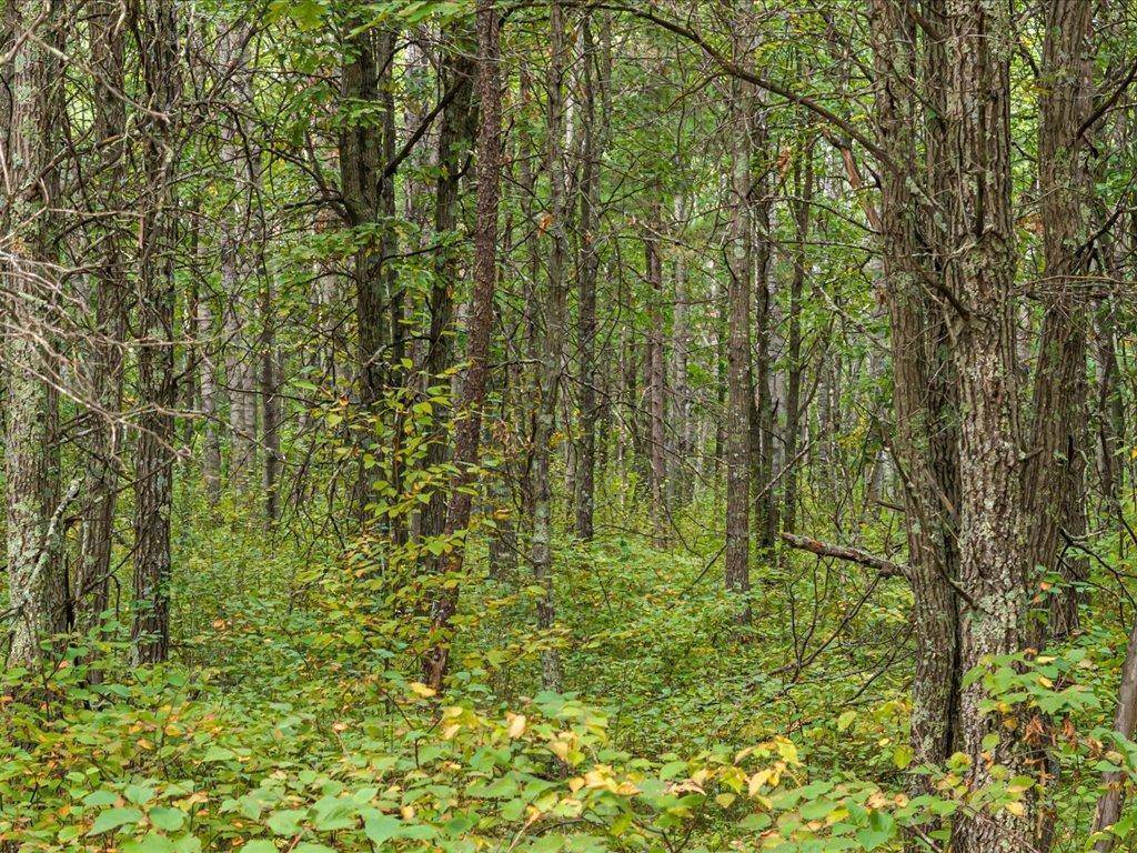 Lot B Sandbar Lane, Merrifield, MN 56465