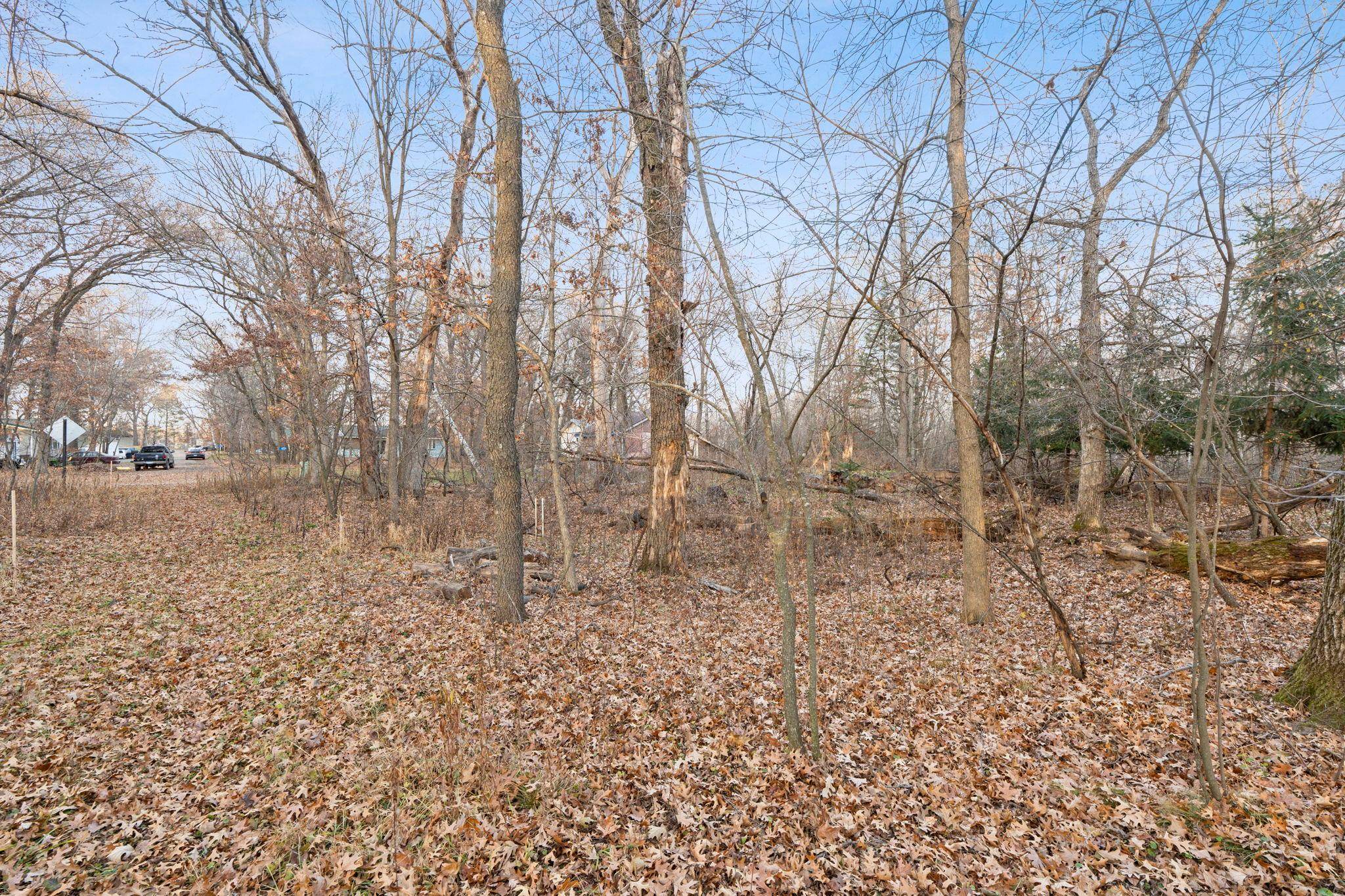 TBD 97 1/2 ST NW, Zimmerman, MN 55398