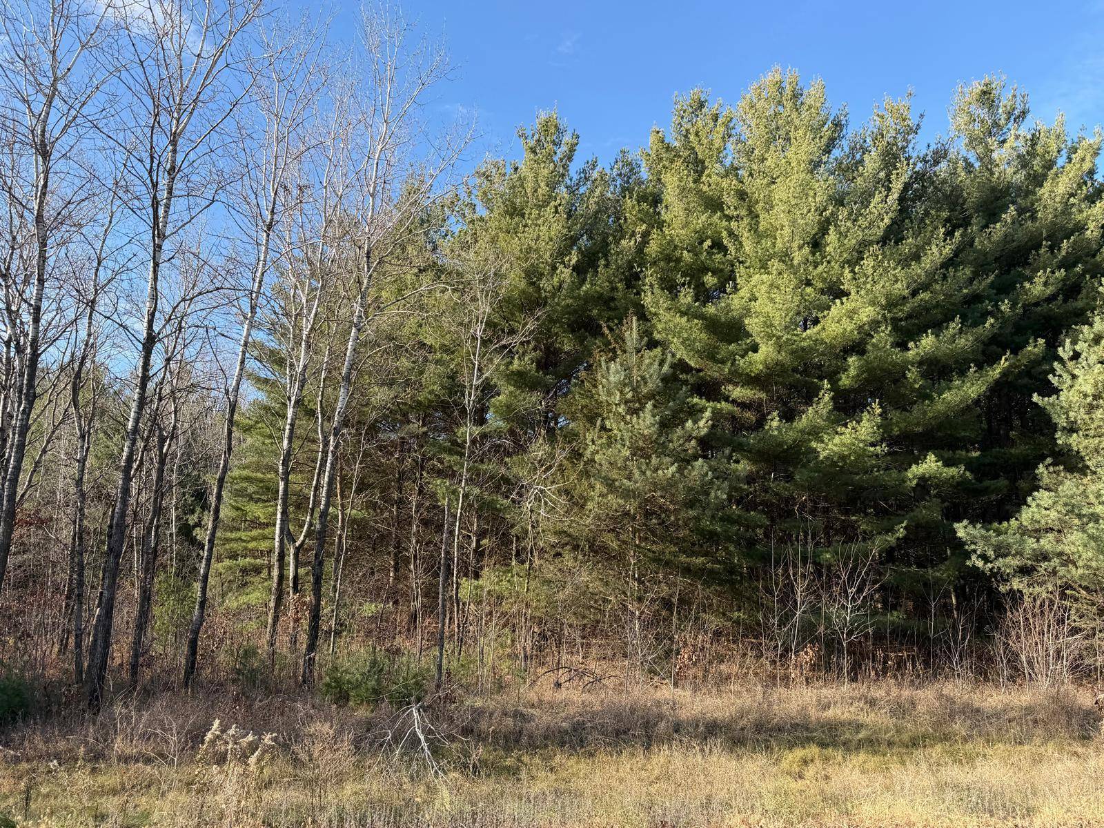 L10,Blk1 177th ST NW, Big Lake, MN 55309