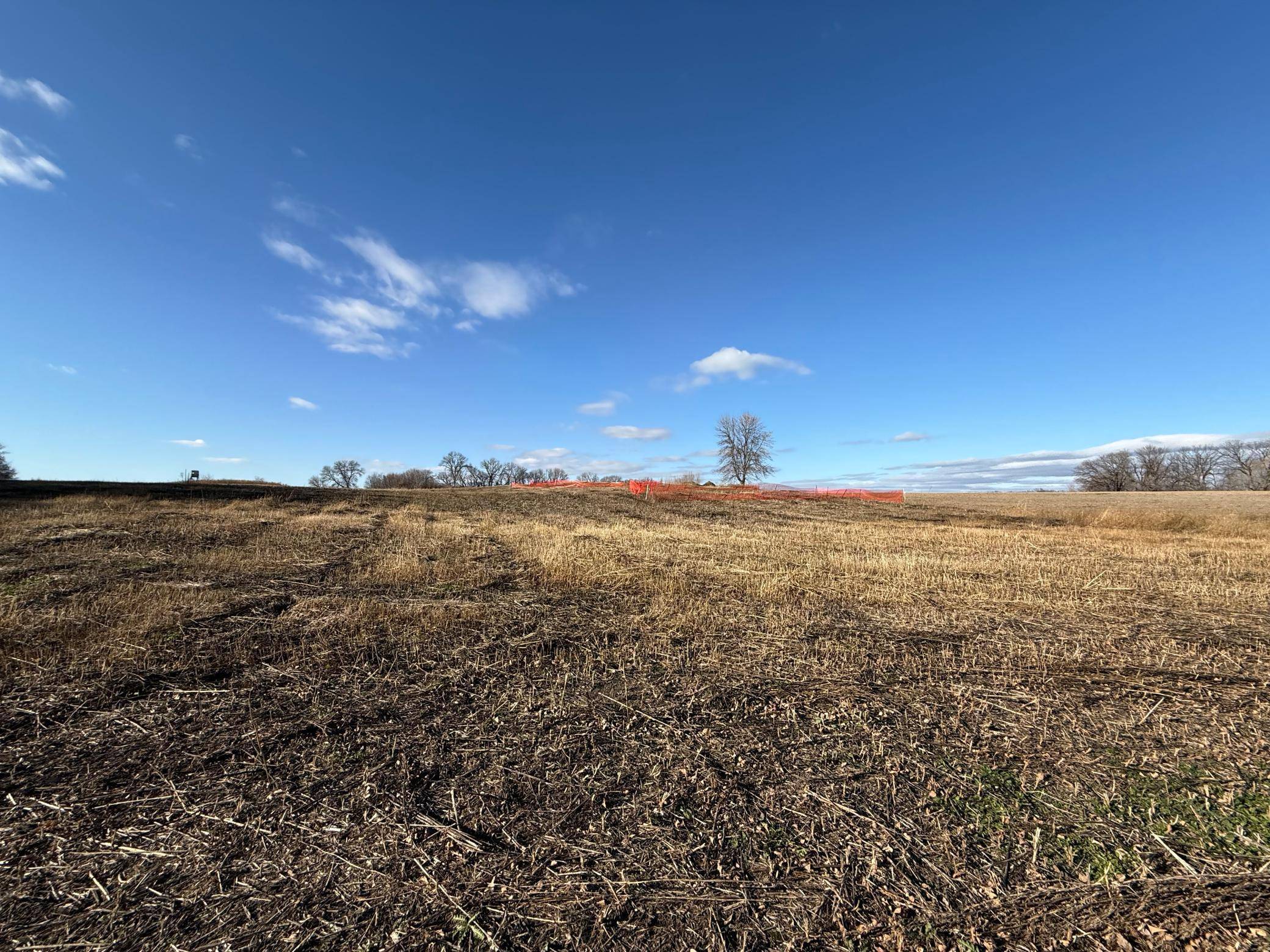 TBD Alivias Avenue, Pelican Rapids, MN 56572