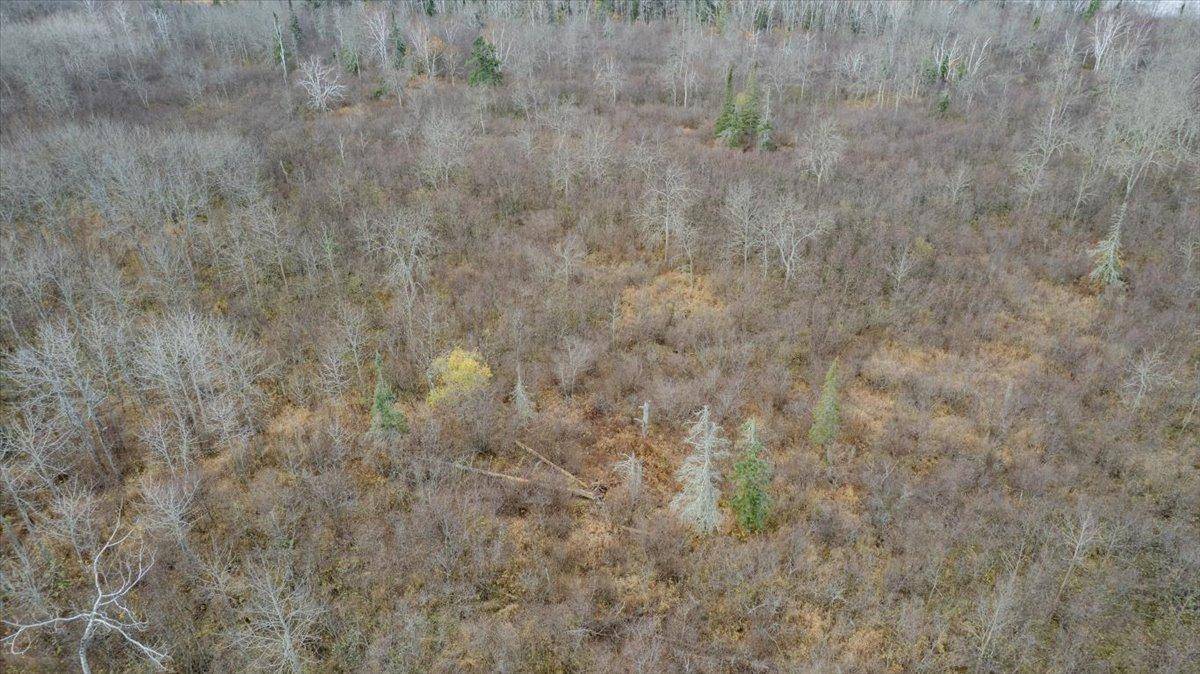 8303 Camp Amnicon RD Lot 1, Lakeside Twp, WI 54874