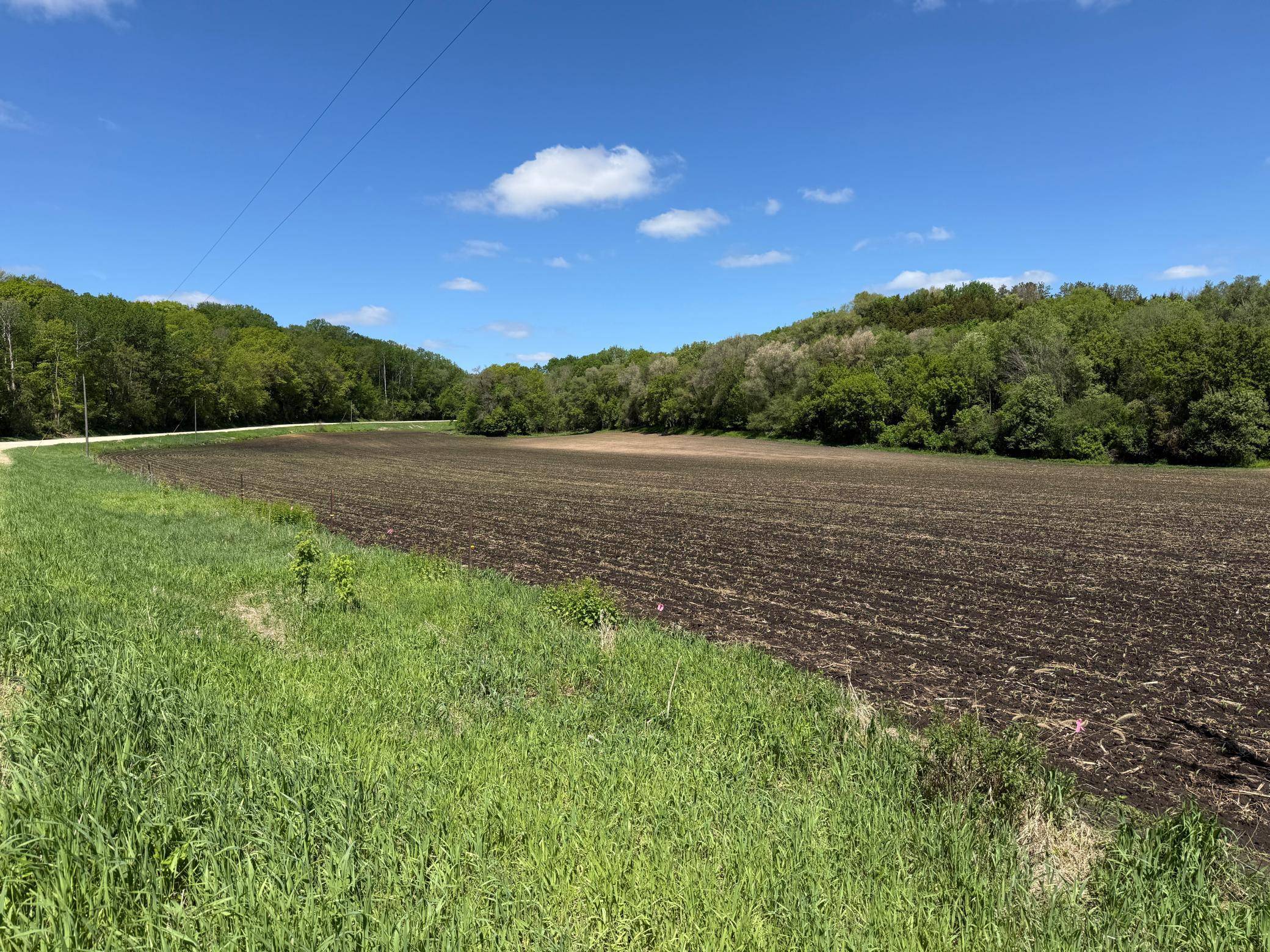 19xx 65th St NE, Rochester, MN 55906