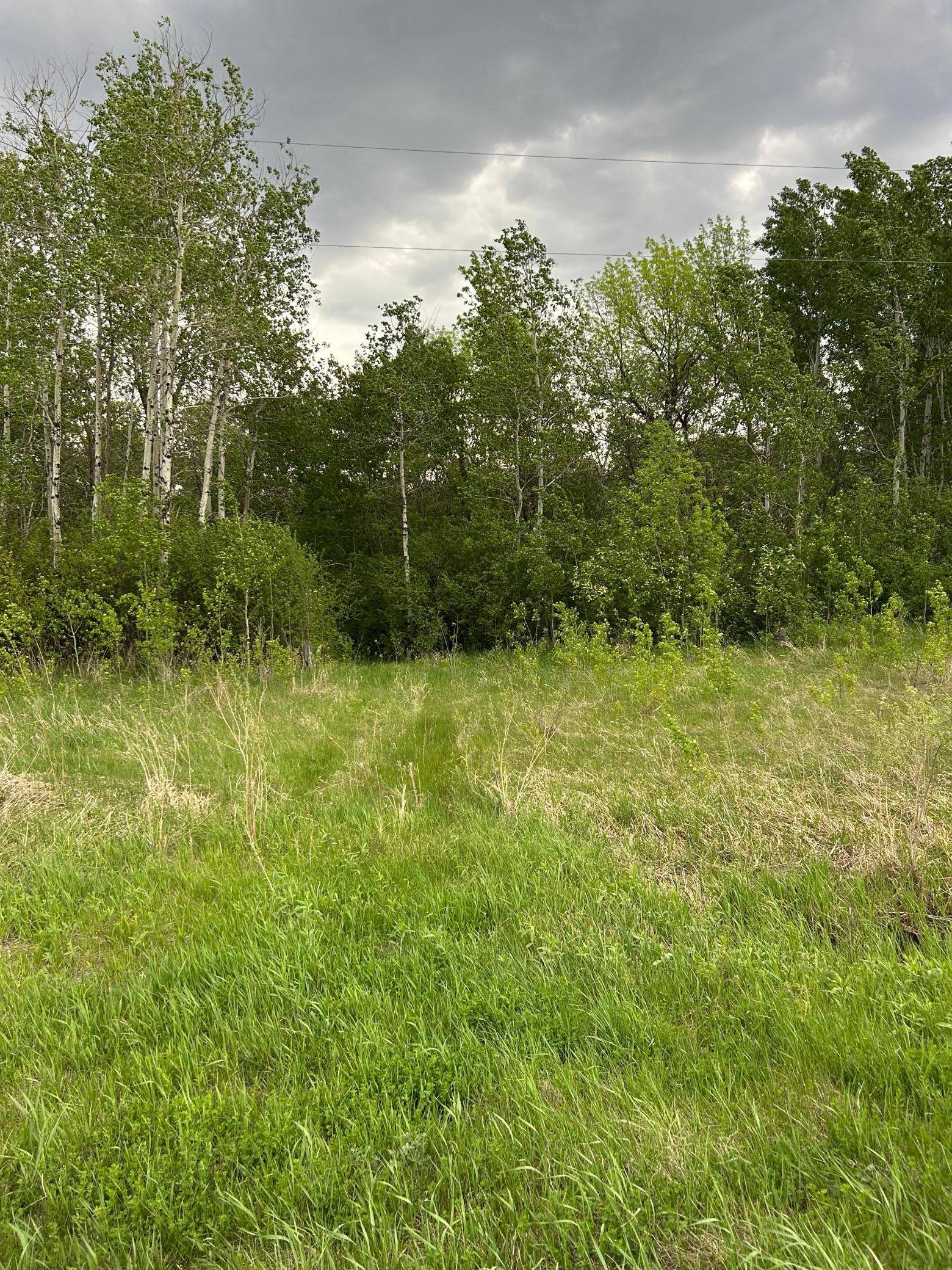 TBD 160th ST NE, Thief River Falls, MN 56701