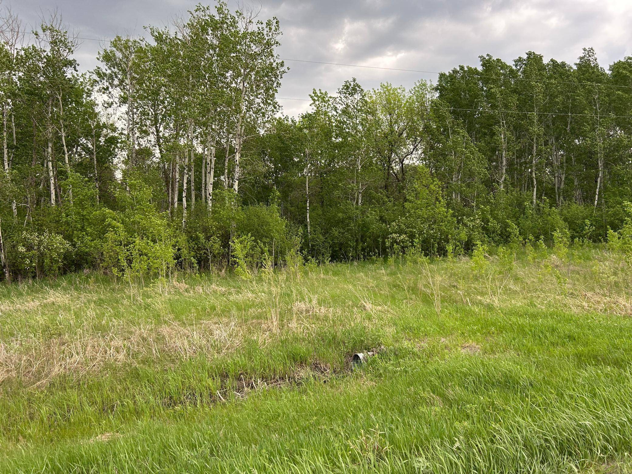 TBD 160th ST NE, Thief River Falls, MN 56701