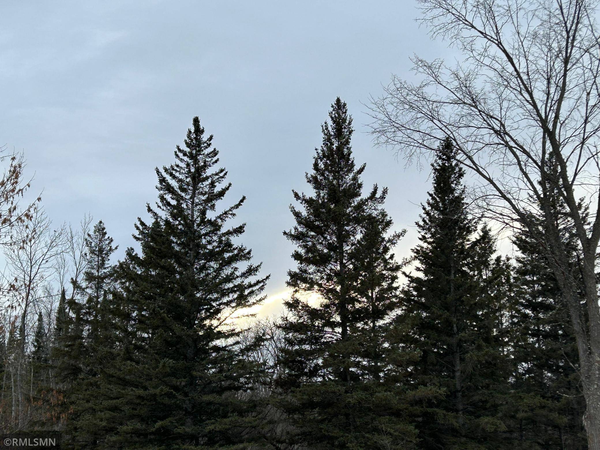26024 Alvwood RD NE, Blackduck, MN 56630