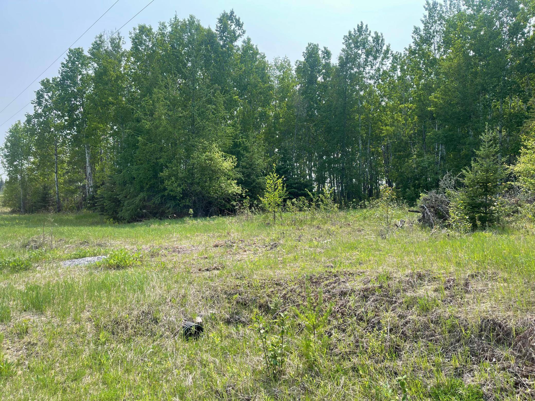 8017 N Savanna RD, Floodwood, MN 55736