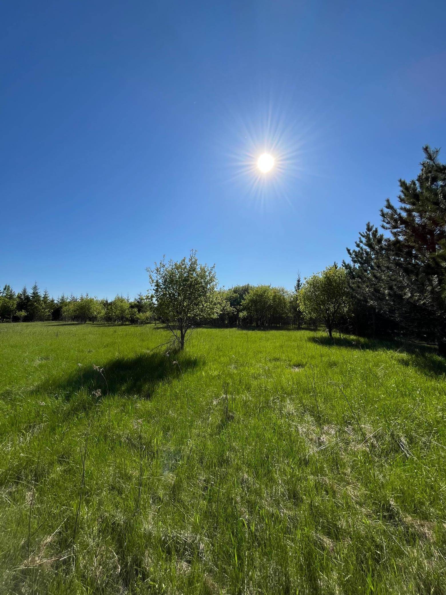 Lot 4 - TBD 330th ST, Warroad, MN 56763