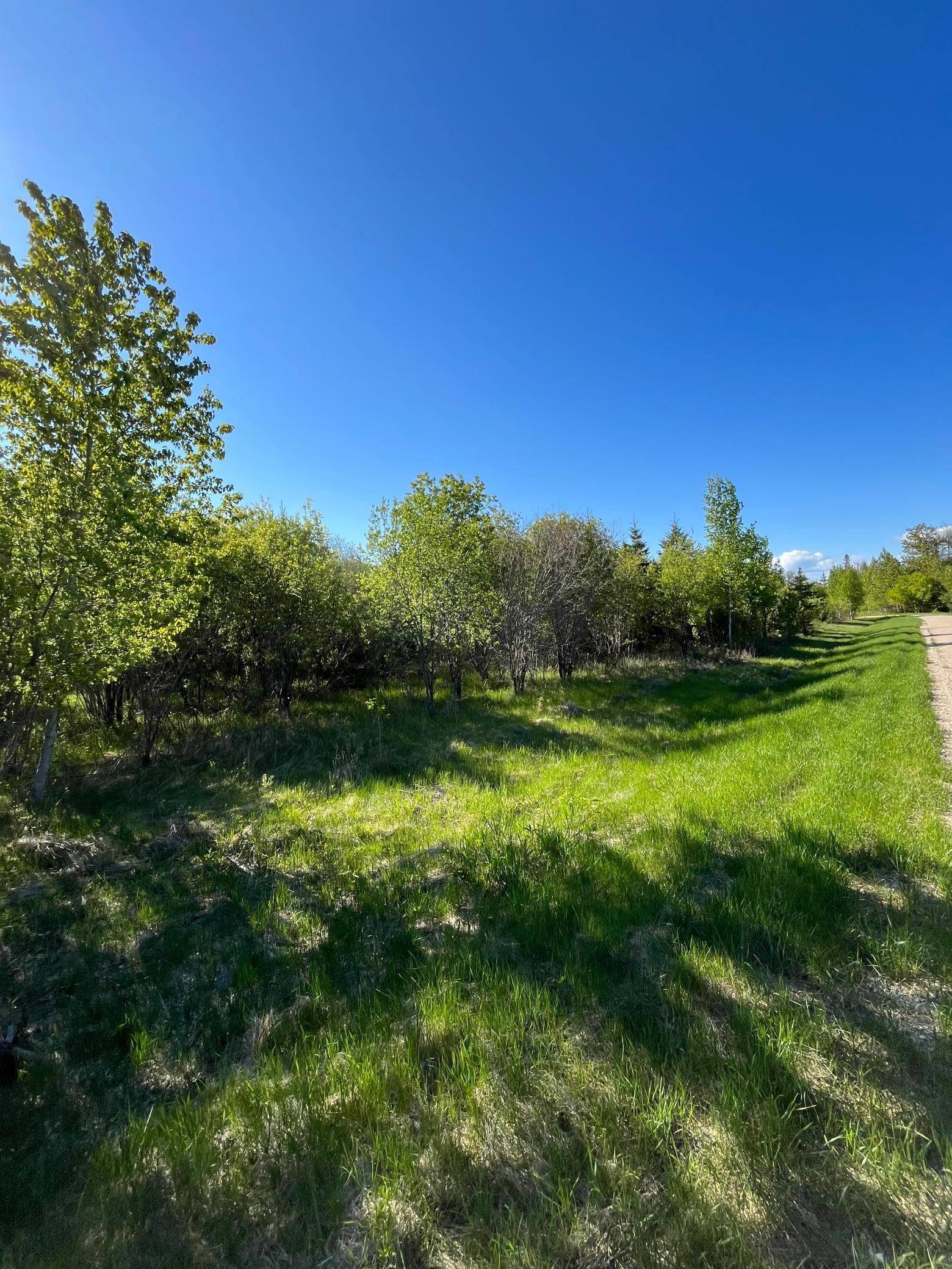 Lot 4 - TBD 330th ST, Warroad, MN 56763