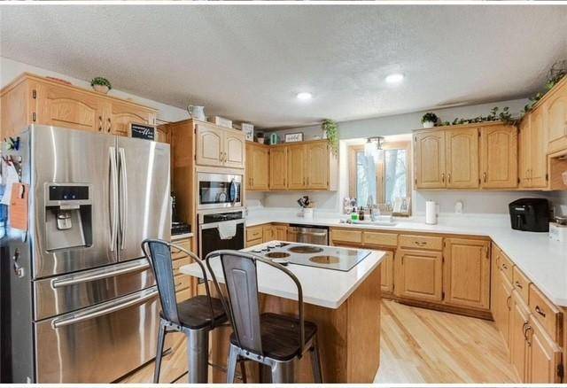 17295 Ward Lake DR NW, Andover, MN 55304