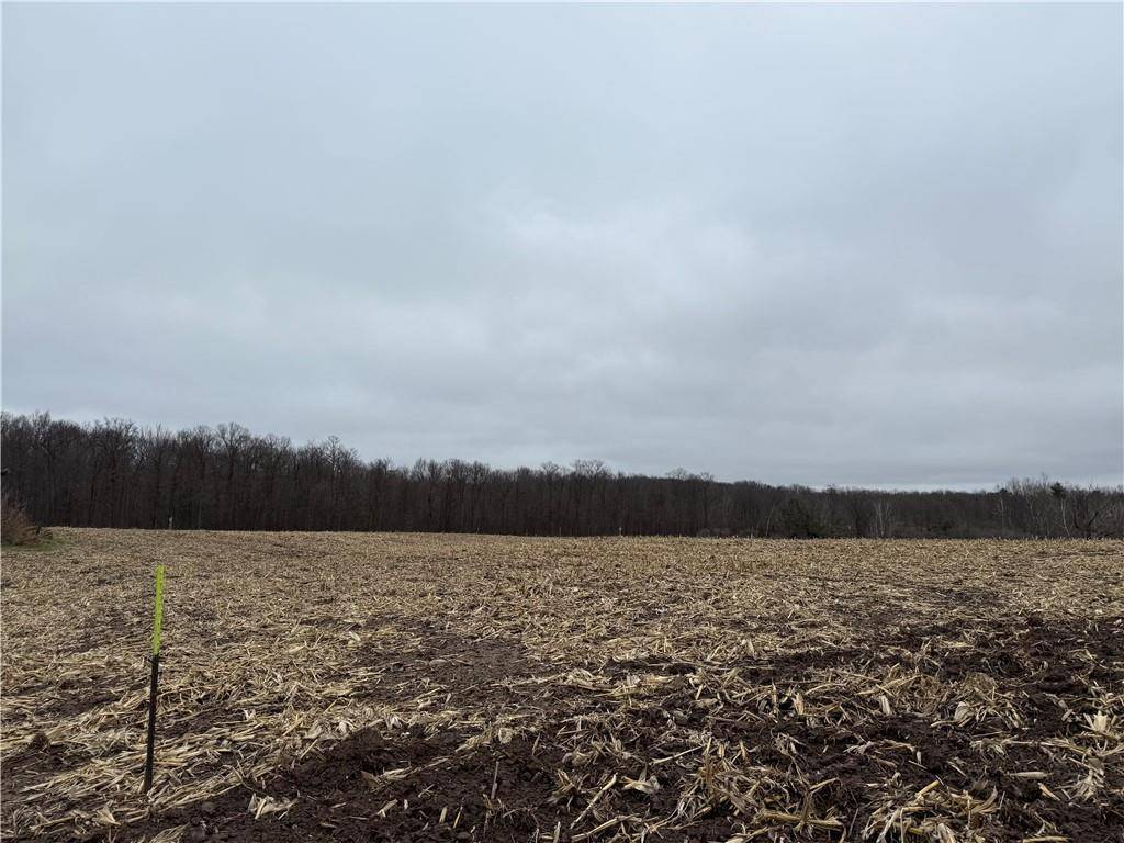Lot 1 County Hwy D, Sarona, WI 54870