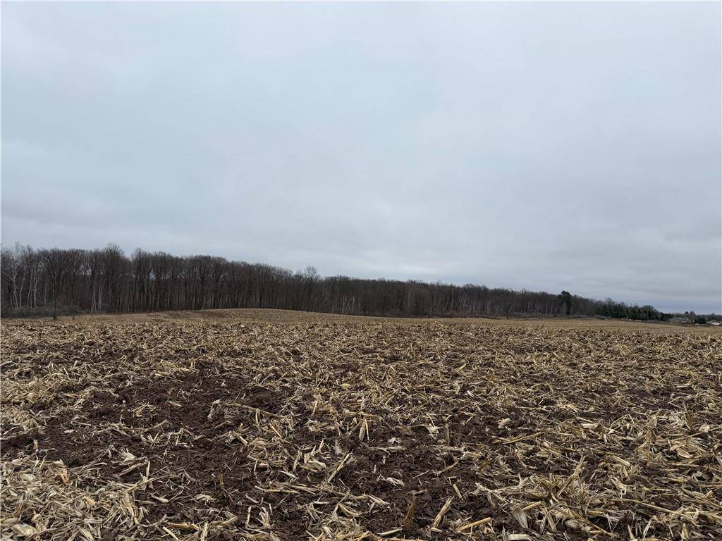 Lot 1 County Hwy D, Sarona, WI 54870