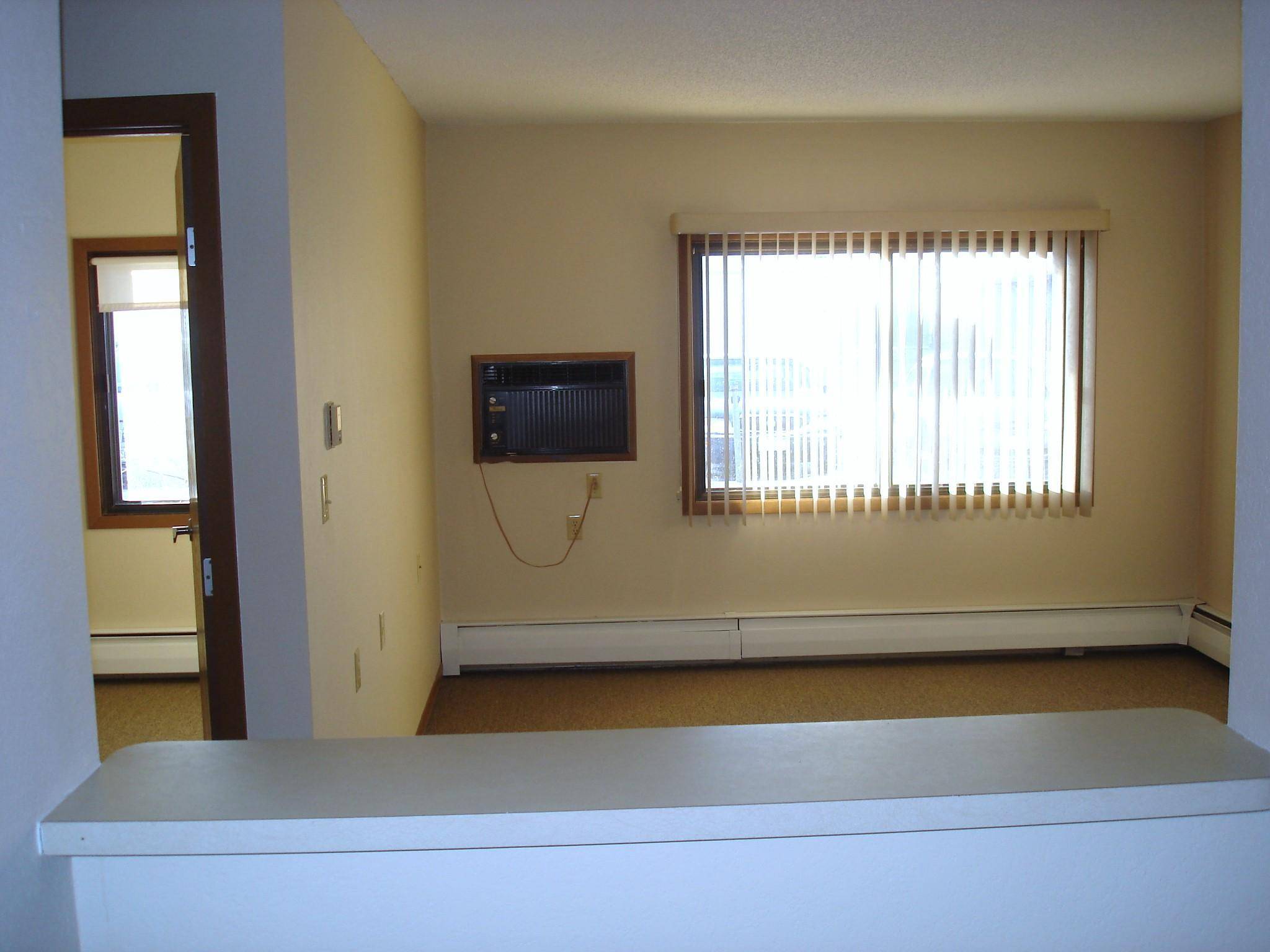 200 1st AVE ##108, Sacred Heart, MN 56285