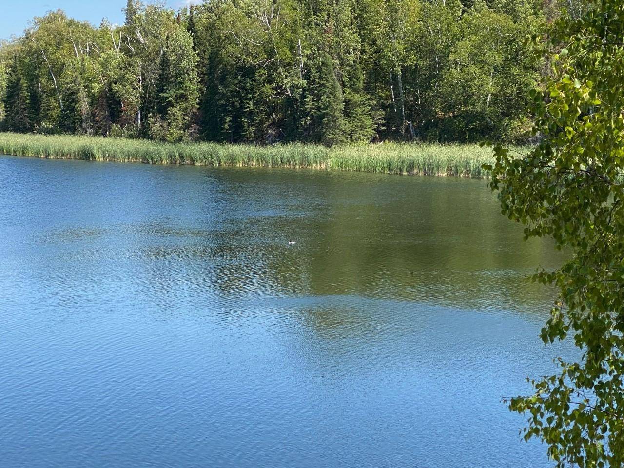 49954 209th AVE, Clearbrook, MN 56634