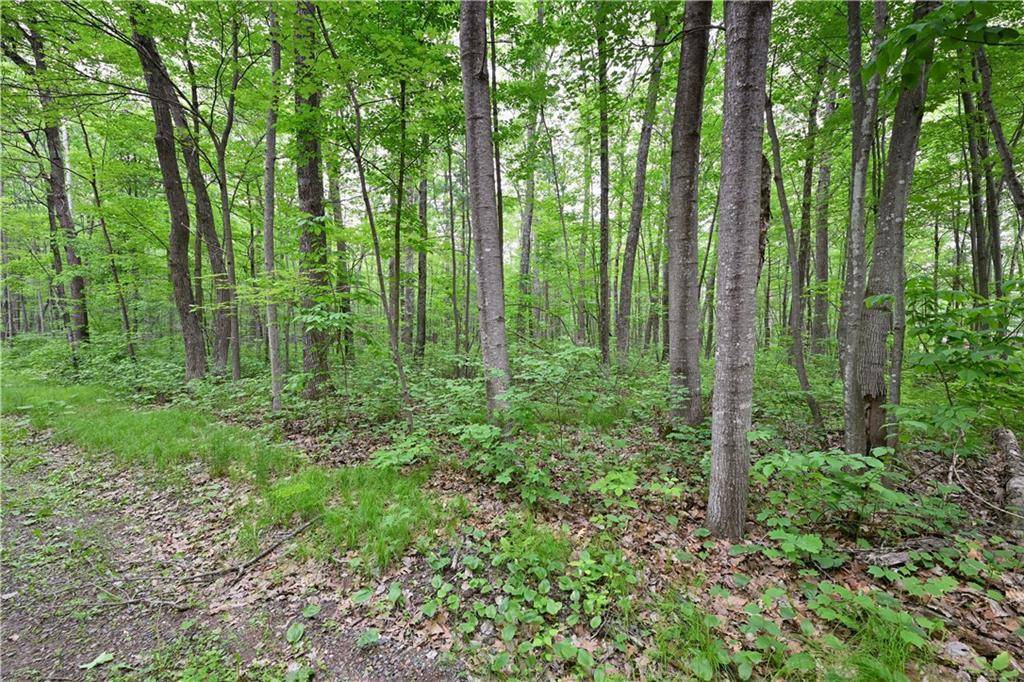 Lot 1 Chippewa AVE, Hayward, WI 54843