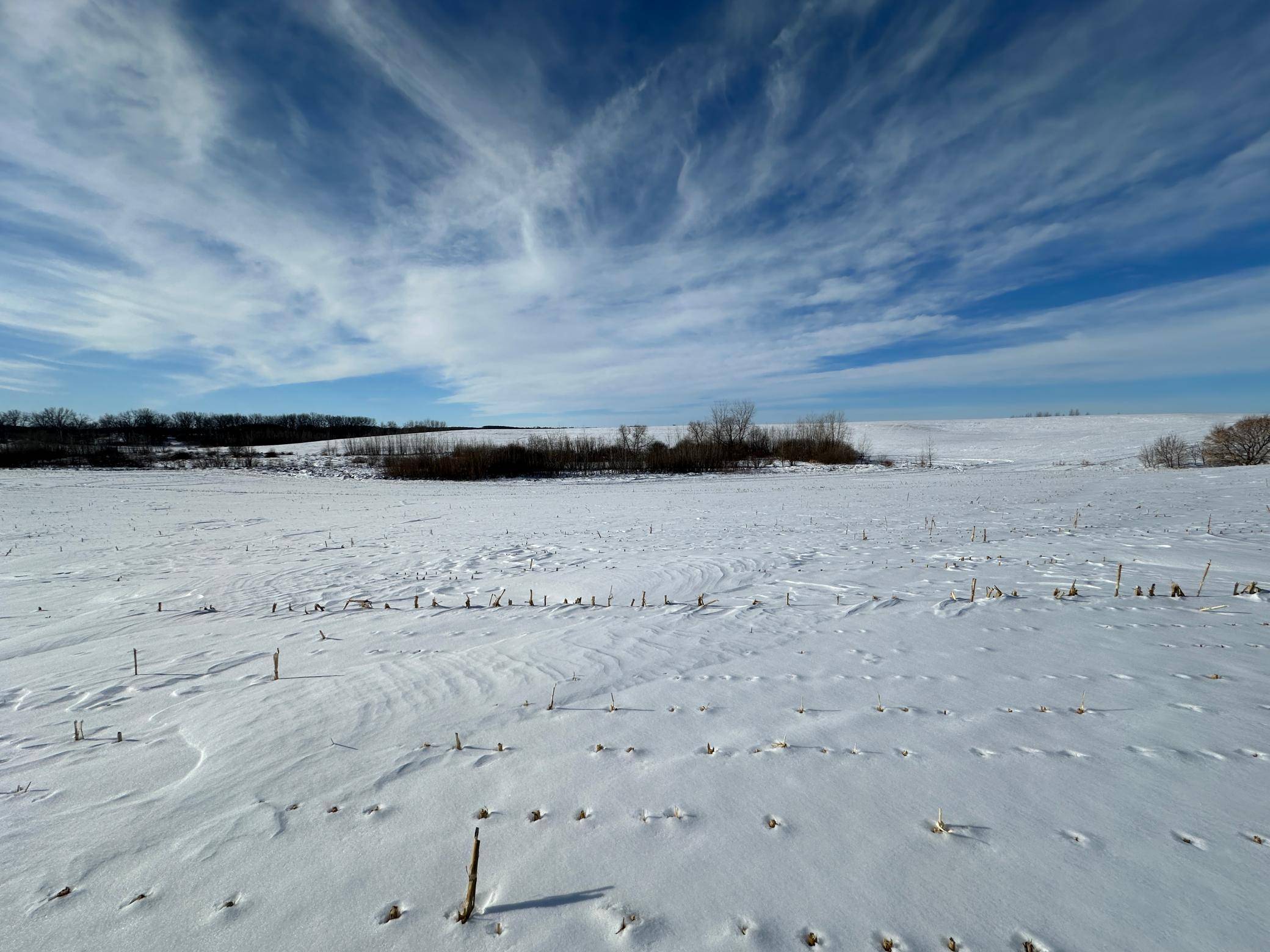 TBD Co Hwy 10, Fergus Falls, MN 56537