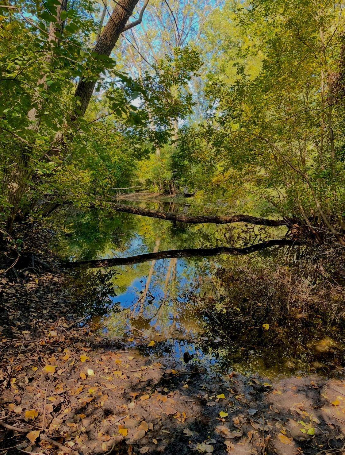 na na, Albert Lea, MN 56007