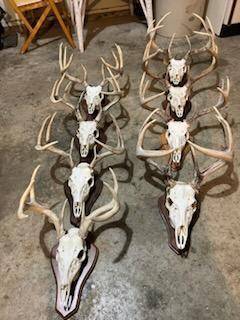 na na, Albert Lea, MN 56007