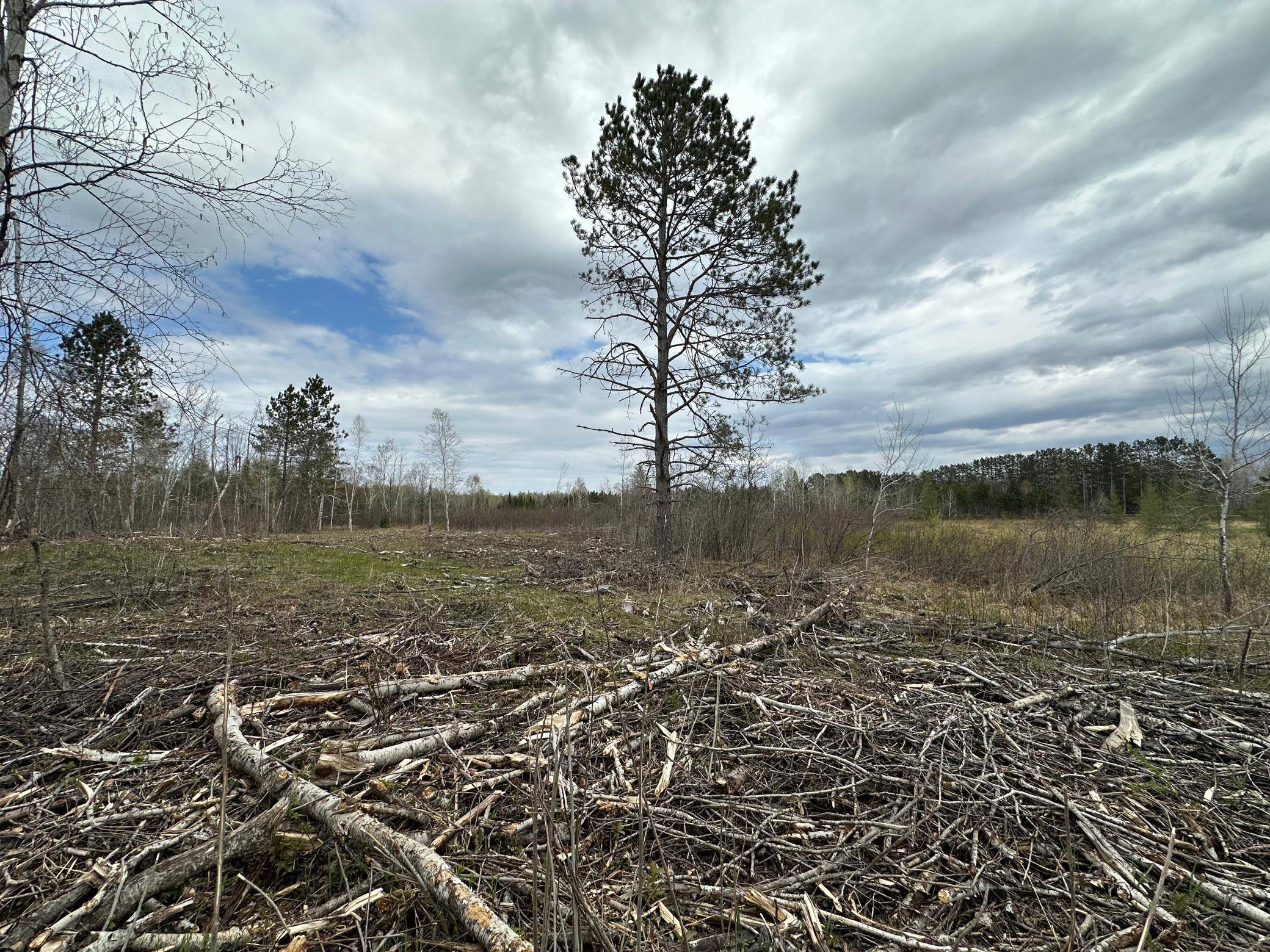 TBD #4 Koecher RD, Kerrick, MN 55756