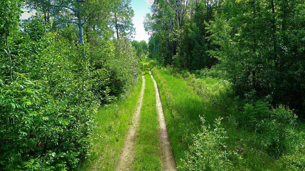 TBD Parcel 1 E Pine DR, Angle Inlet, MN 56711