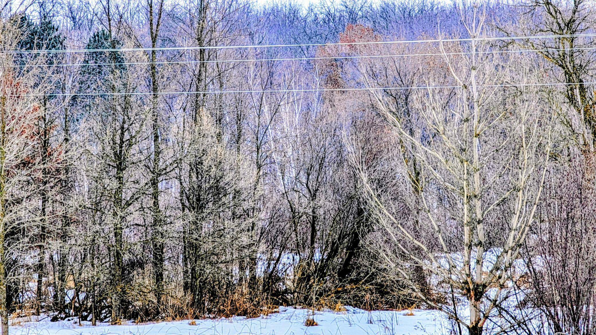 TBD Hummingbird RD, Long Prairie, MN 56347