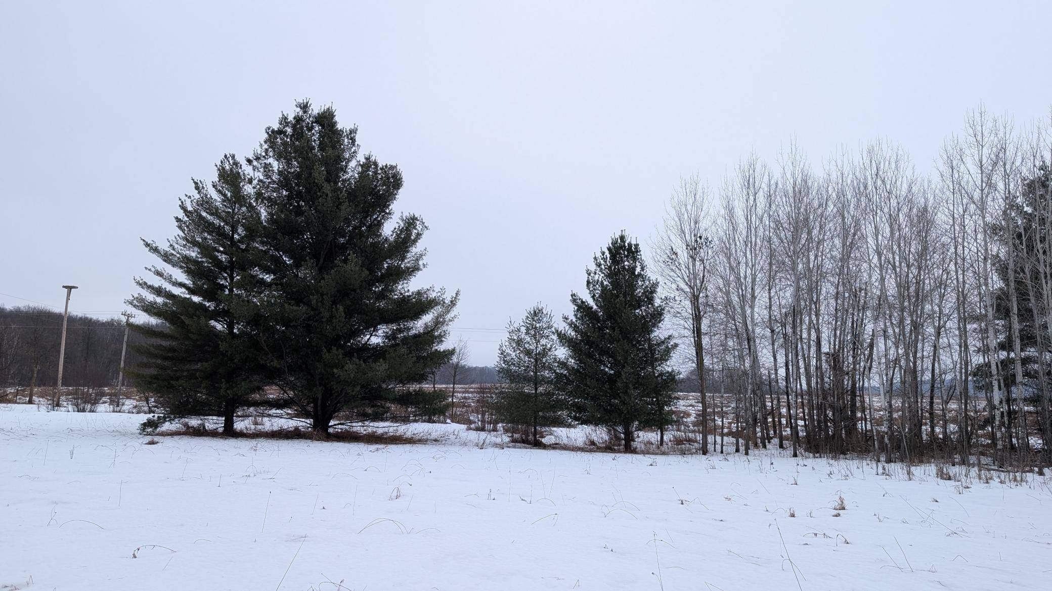 TBD Hummingbird RD, Long Prairie, MN 56347