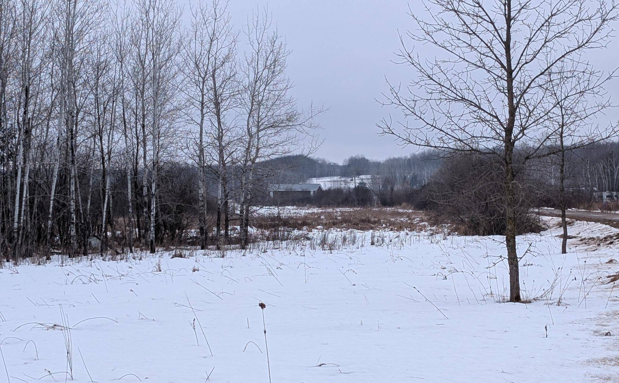 TBD Hummingbird RD, Long Prairie, MN 56347