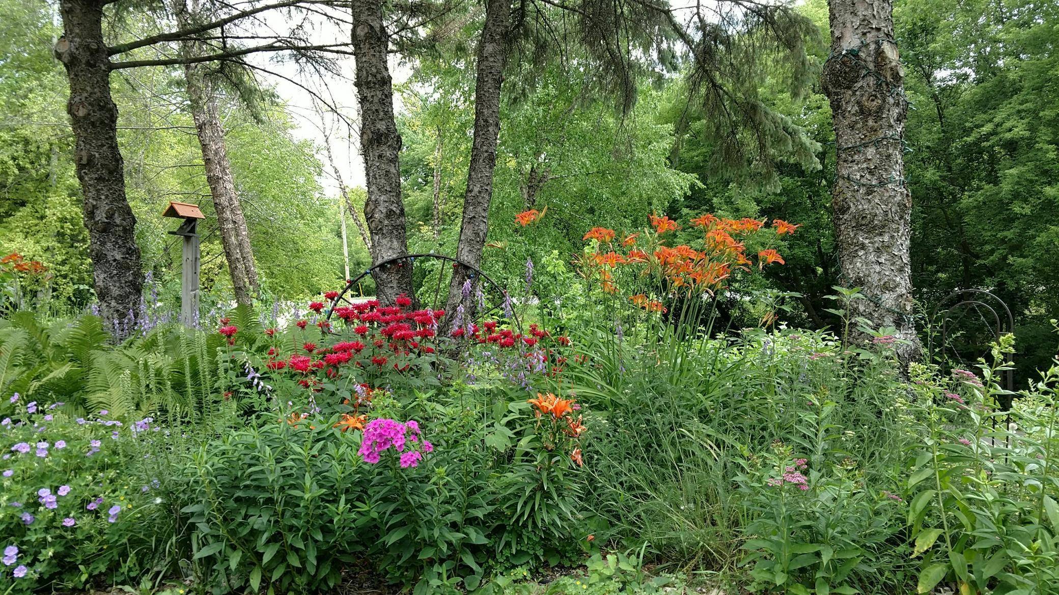 2945 County Road 4 #151 SW, Cokato, MN 55321