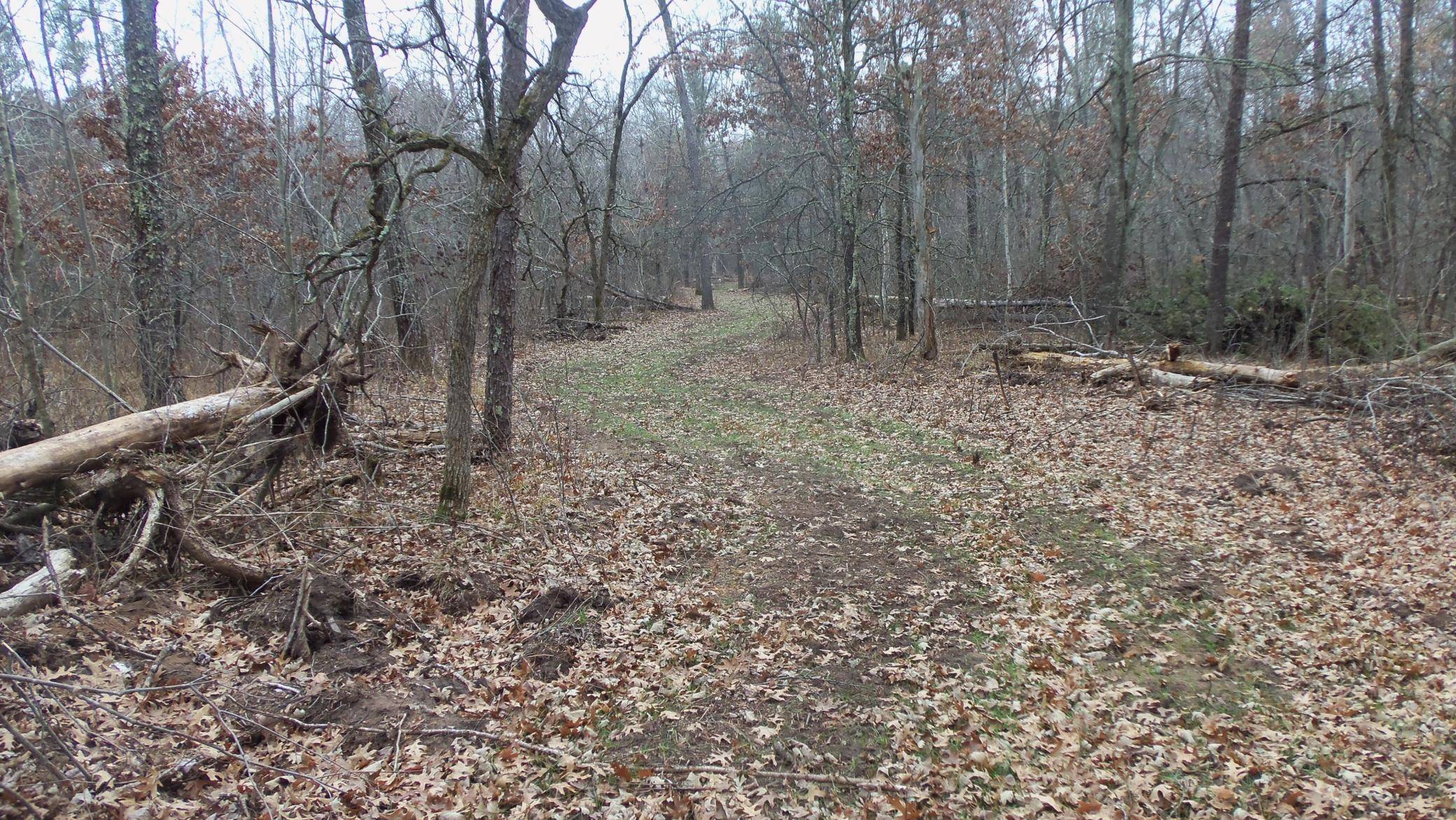 Lot 5 Cnute Creek Trl, Grantsburg, WI 54840