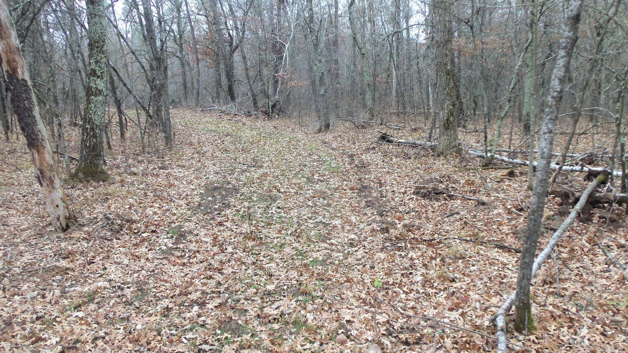 Lot 5 Cnute Creek Trl, Grantsburg, WI 54840