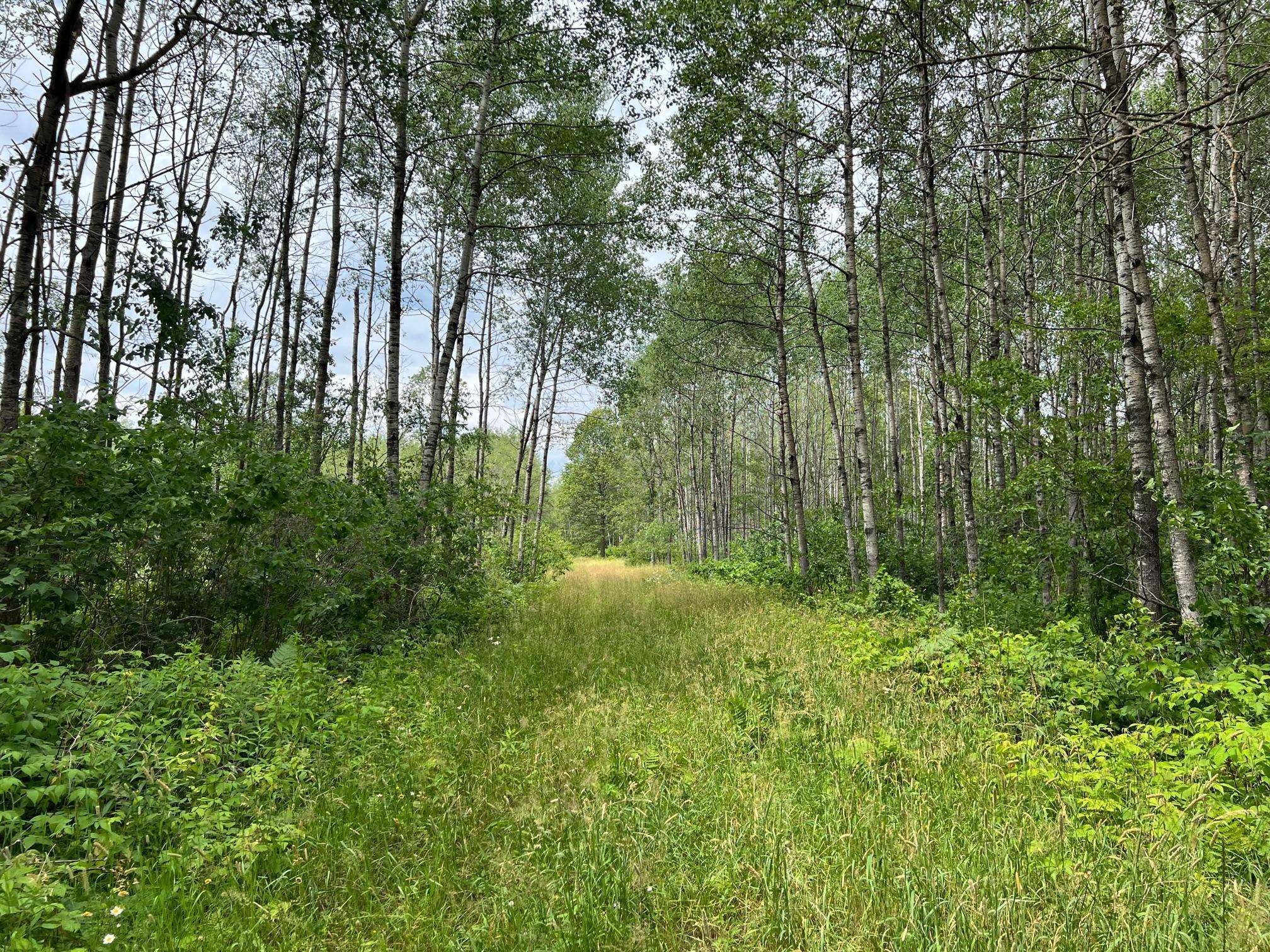 W37XX Frog Creek Road, Minong, WI 54859