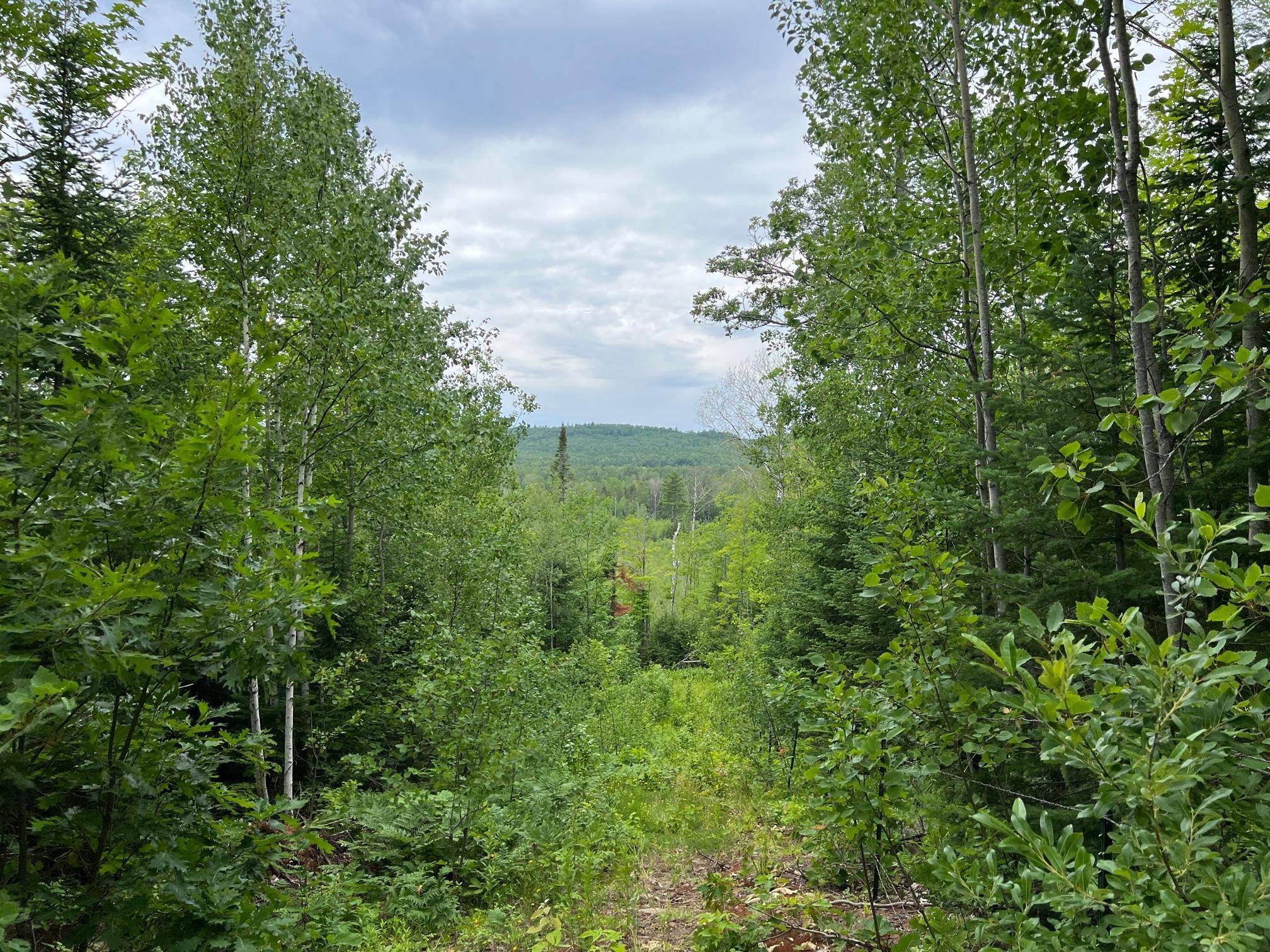 86640 N South Pratt Road, Bayfield, WI 54814