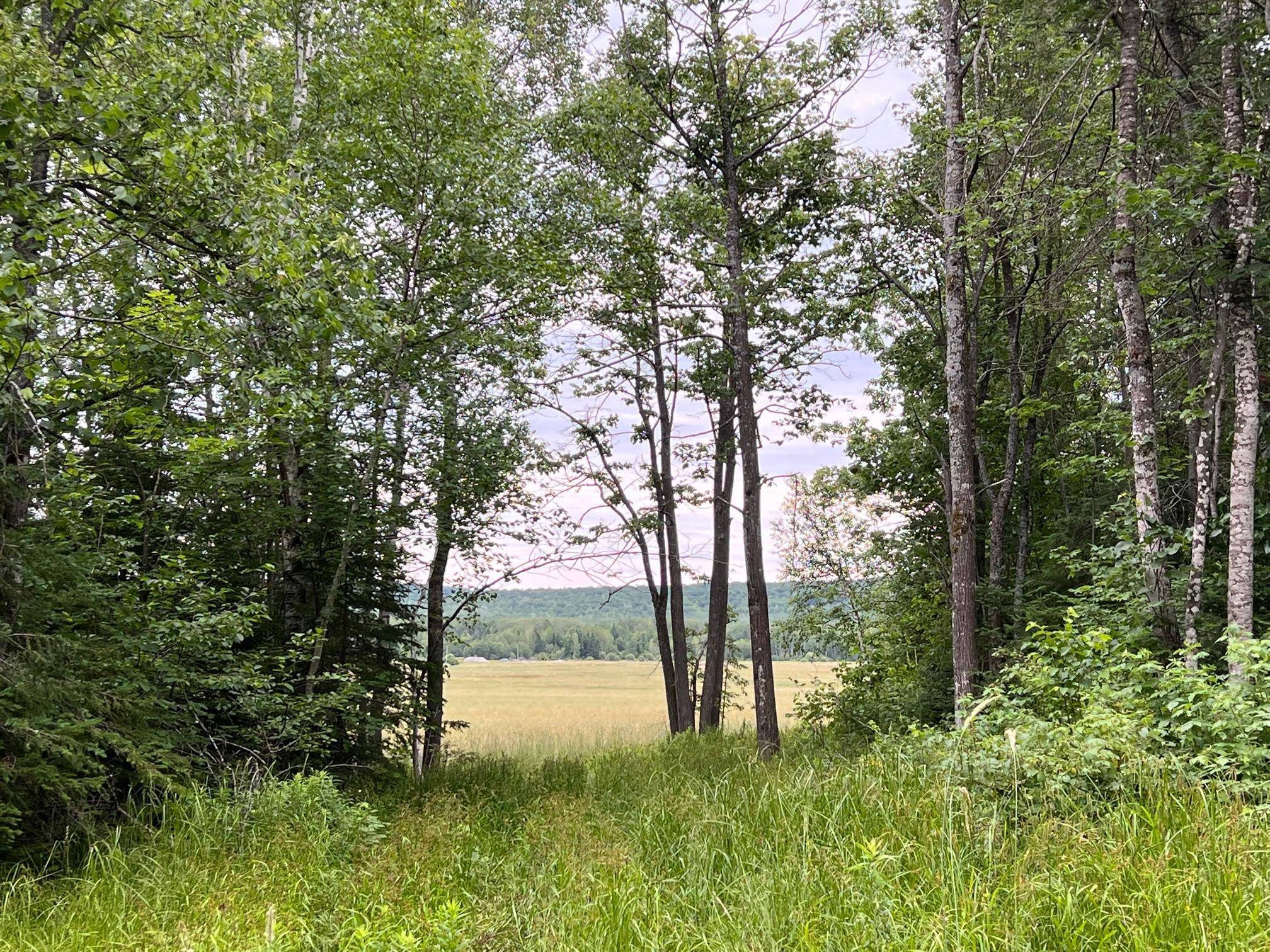 86640 N South Pratt Road, Bayfield, WI 54814