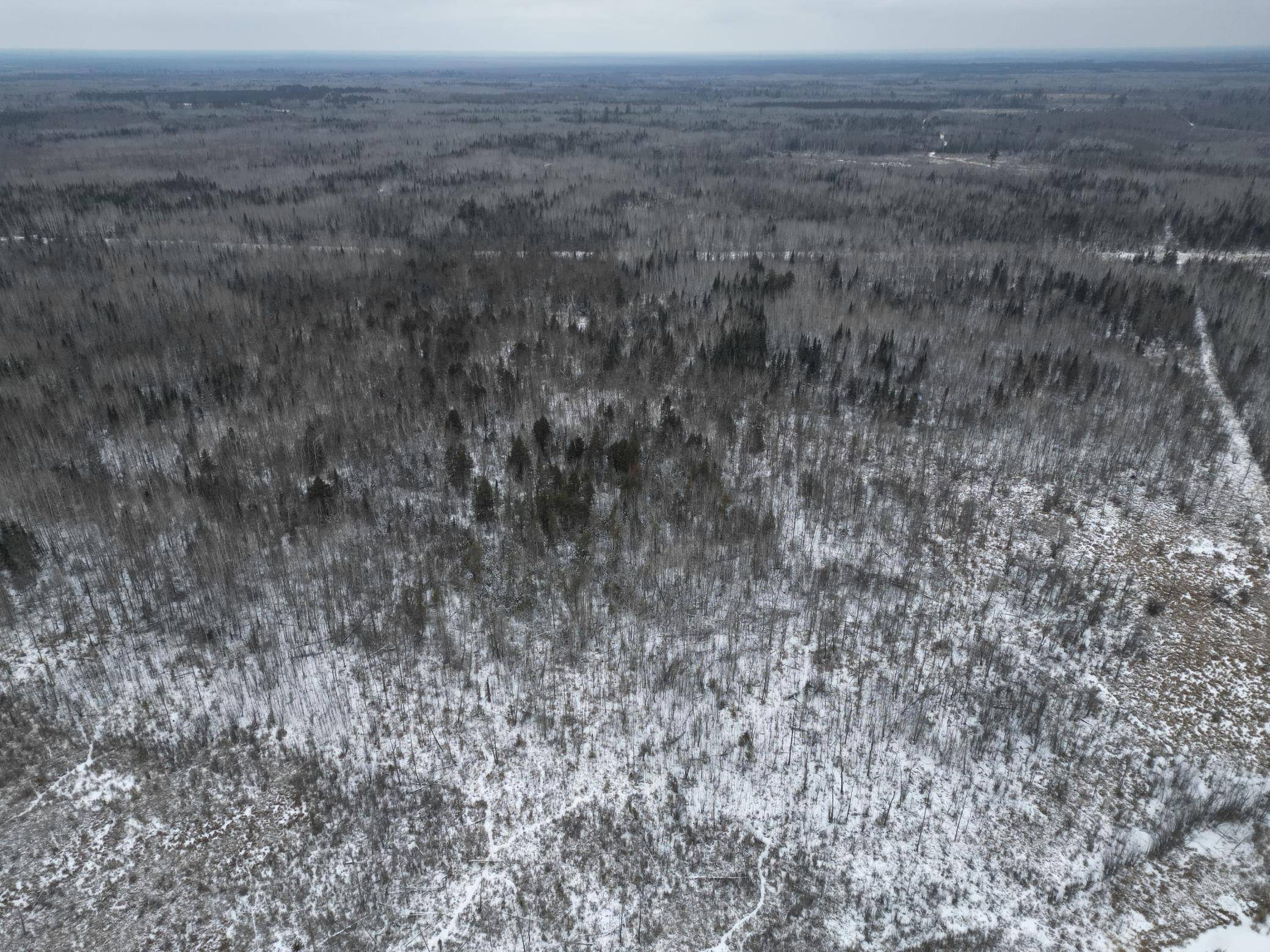 TBD US-71, Big Falls, MN 56627