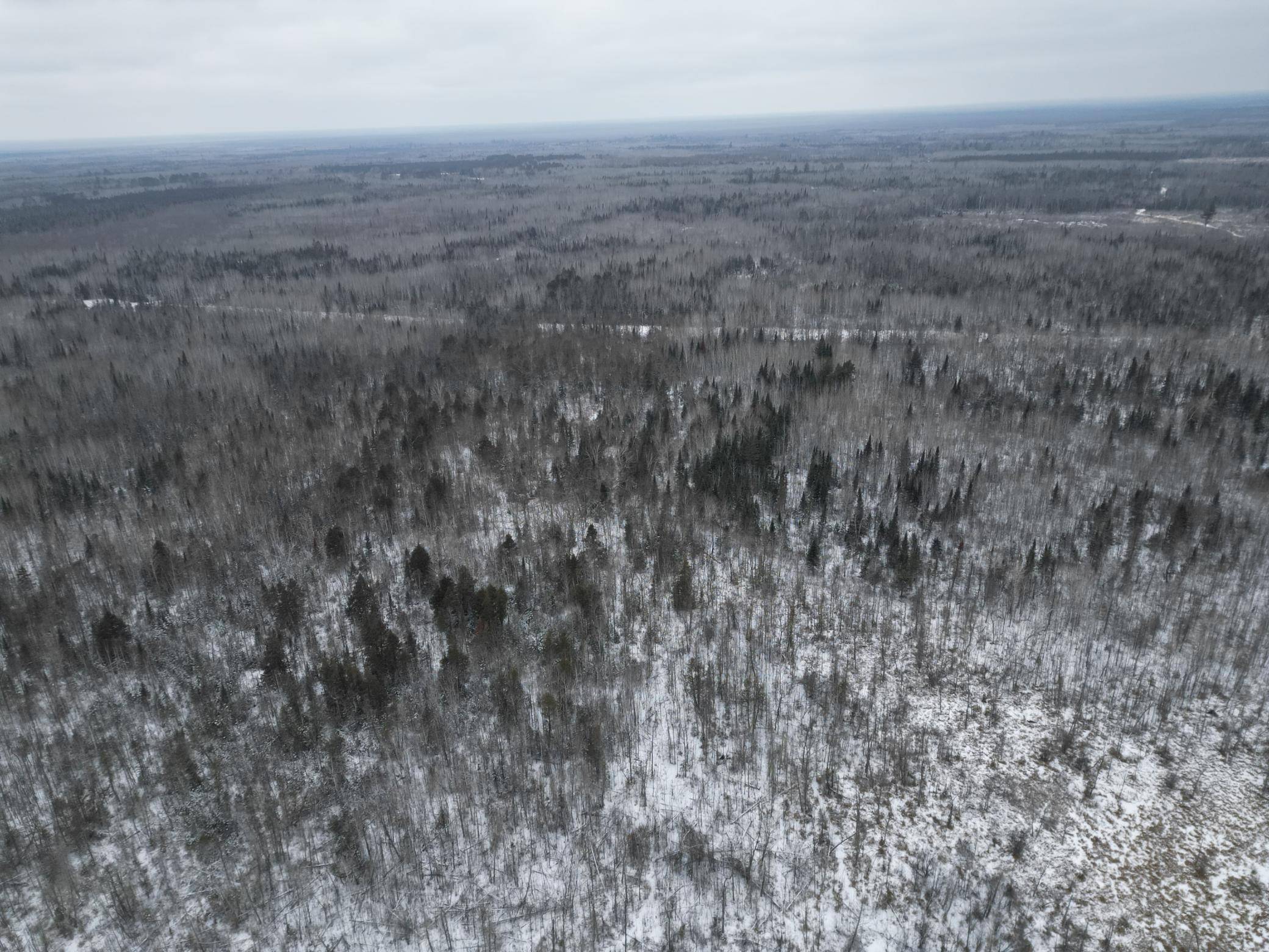 TBD US-71, Big Falls, MN 56627
