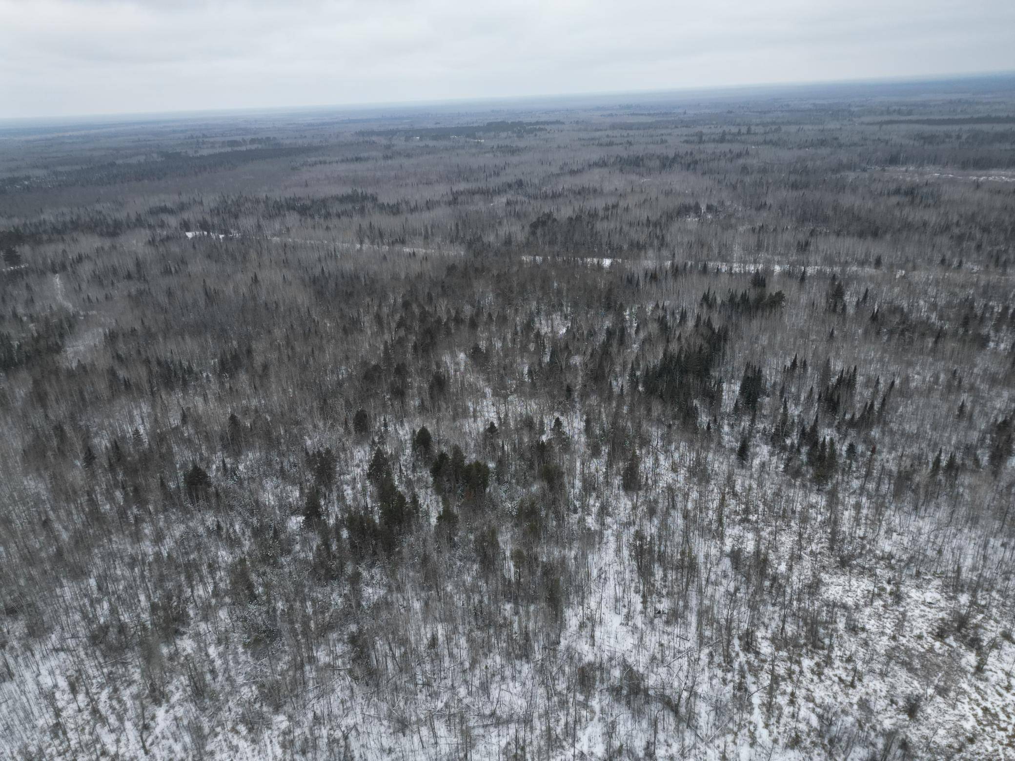 TBD US-71, Big Falls, MN 56627