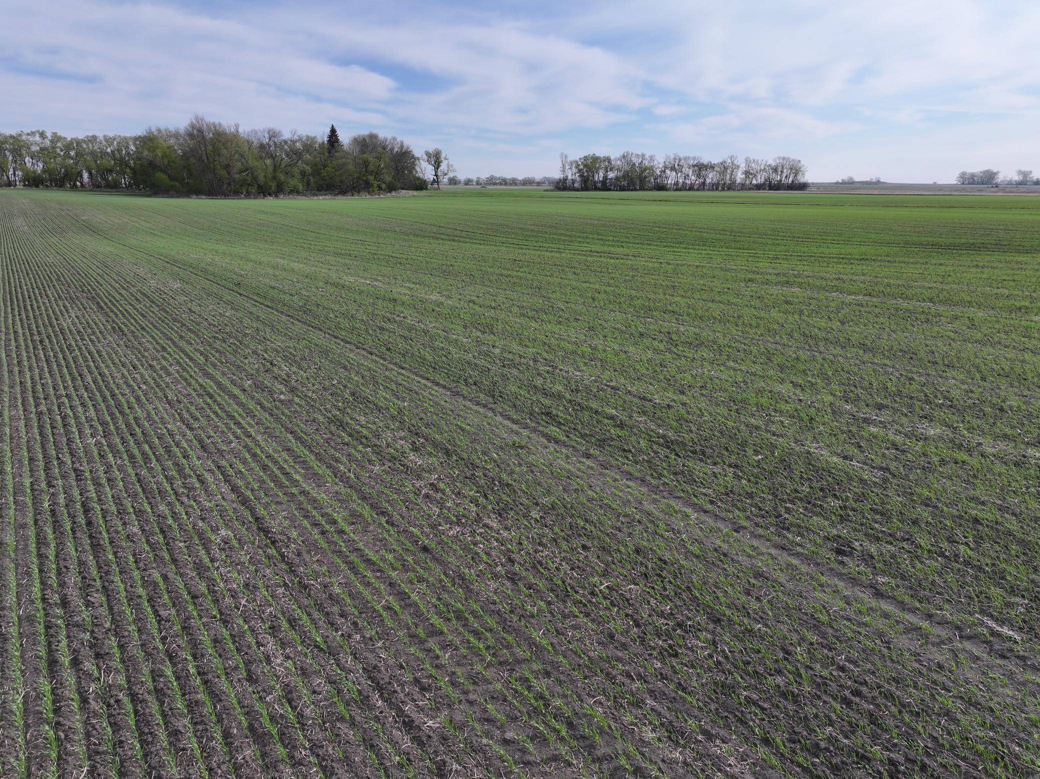 1st St SE 1st St SE, Cooperstown, ND 58425
