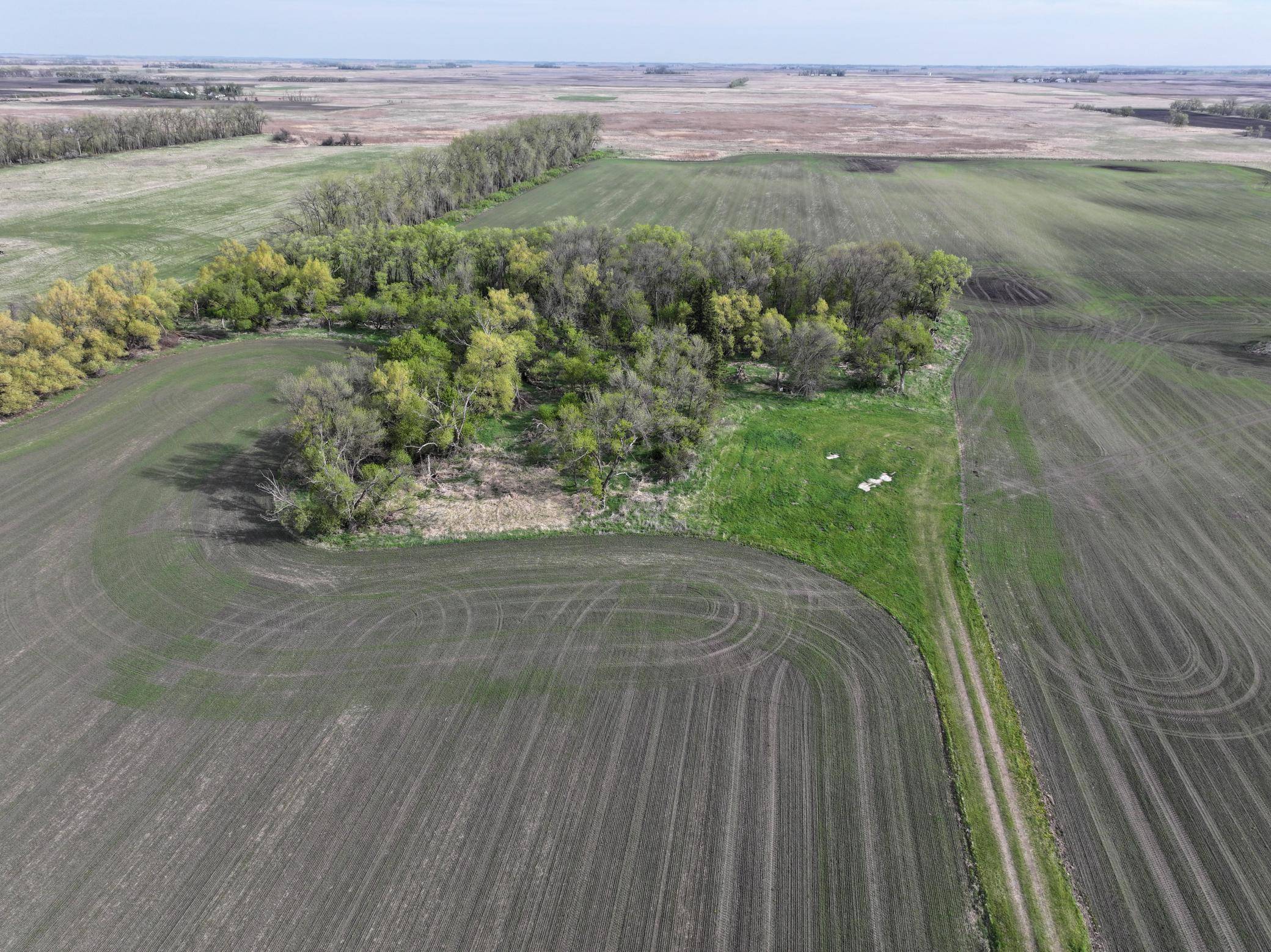 1st St SE 1st St SE, Cooperstown, ND 58425