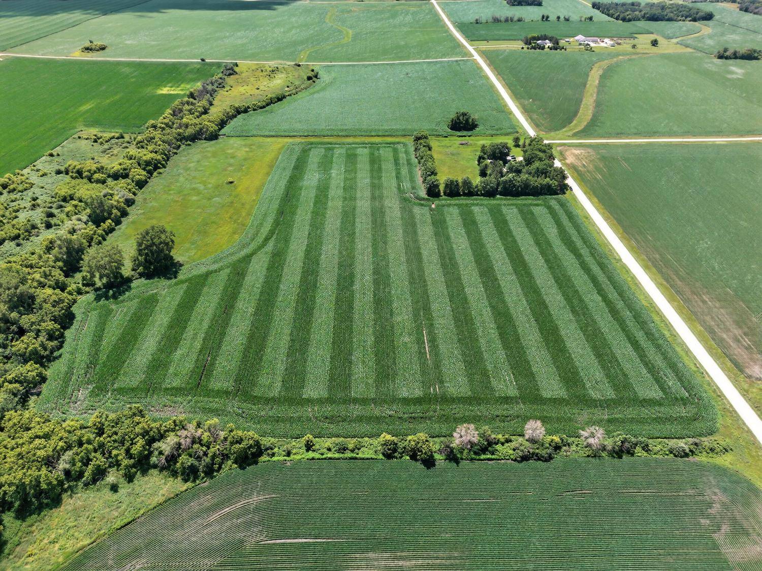 TBD 270th AVE SW, Hayfield, MN 55940