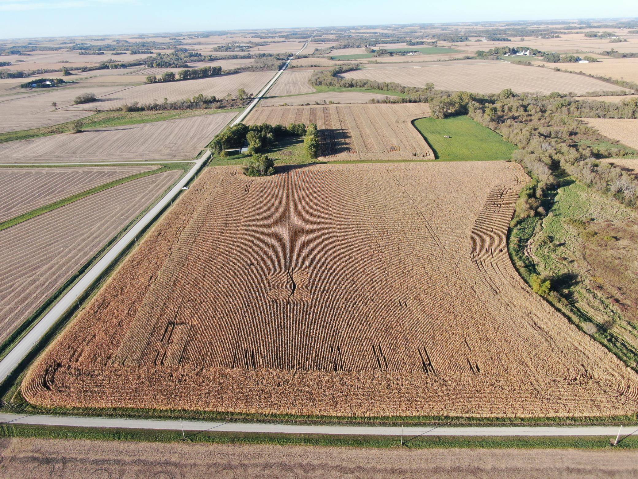 TBD 270th AVE SW, Hayfield, MN 55940
