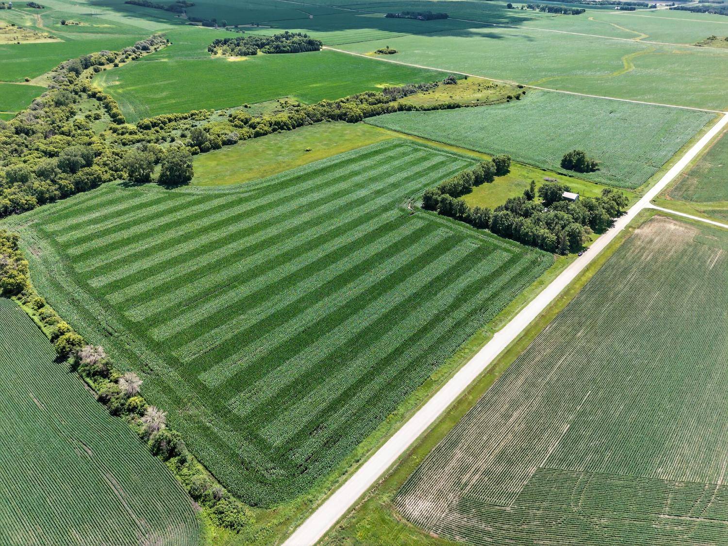 TBD 270th AVE SW, Hayfield, MN 55940