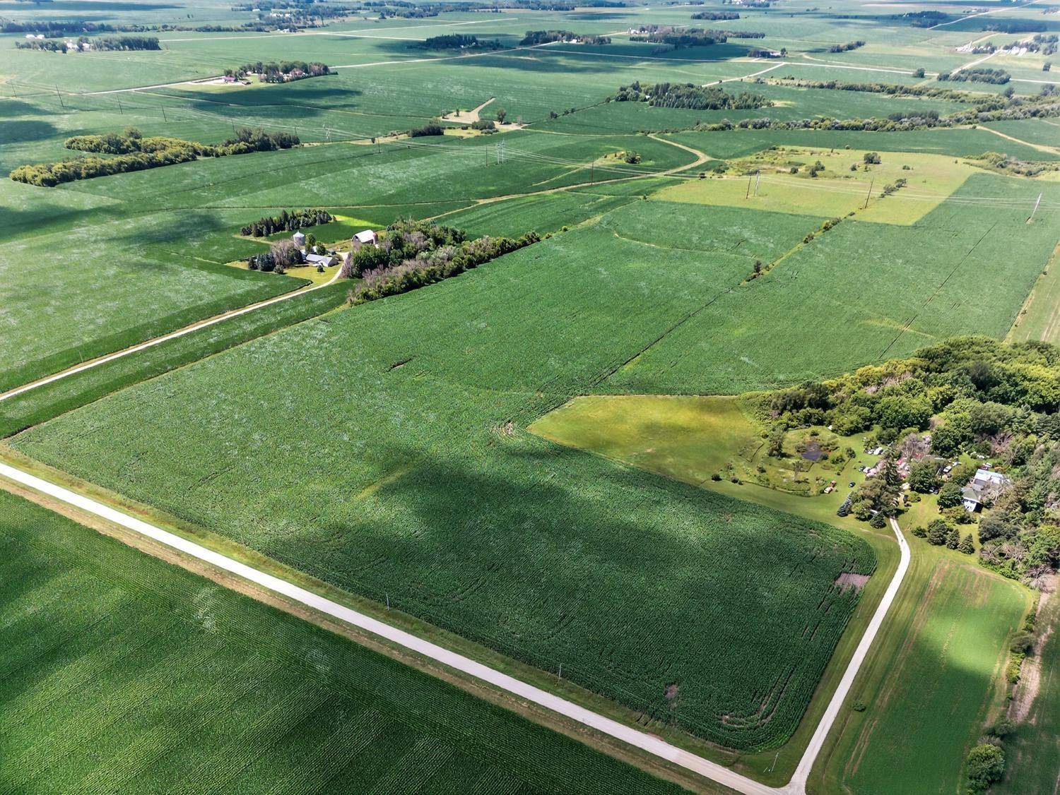 TBD County Road 149, Hayfield, MN 55940