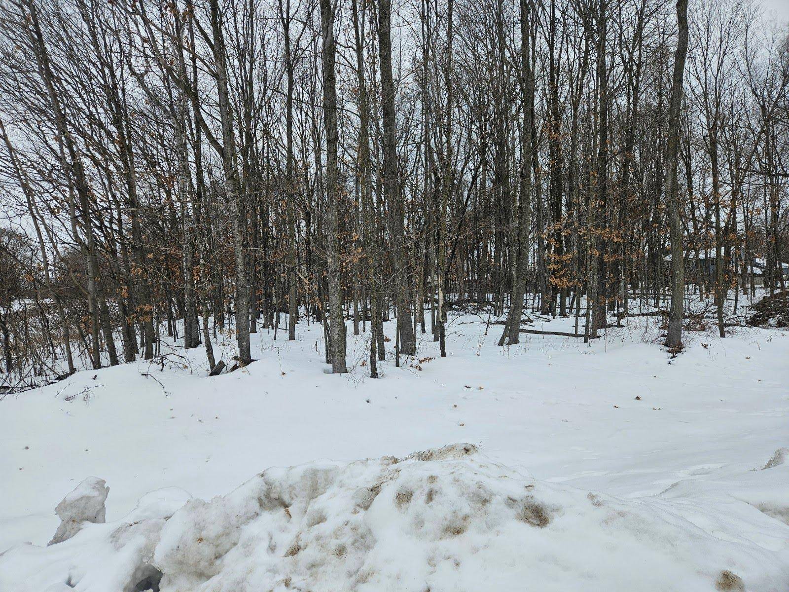 Lot 1, Block 1 2 1/2 AVE NE, Saint Stephen, MN 56375