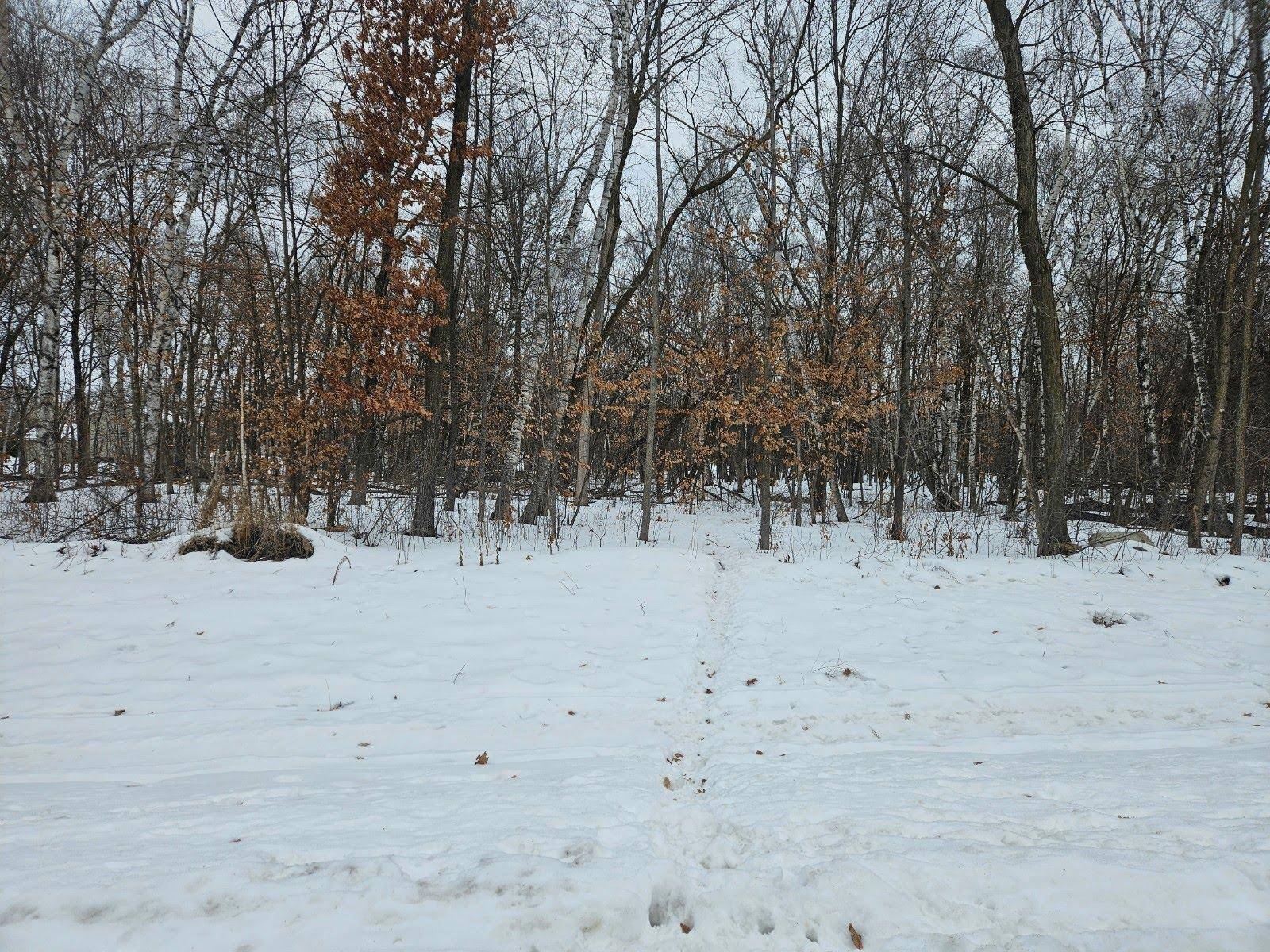 Lot 1, Block 2 2 1/2 AVE NE, Saint Stephen, MN 56375