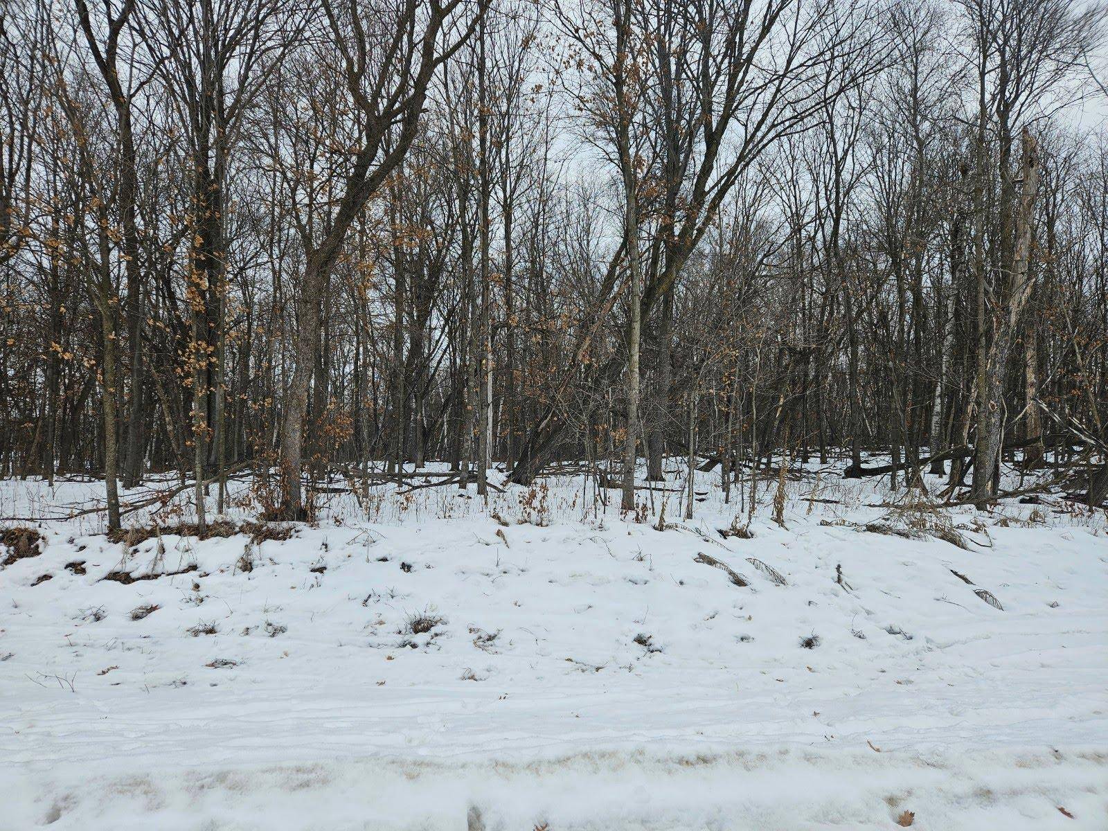 Lot 2, Block 2 2 1/2 AVE NE, Saint Stephen, MN 56375
