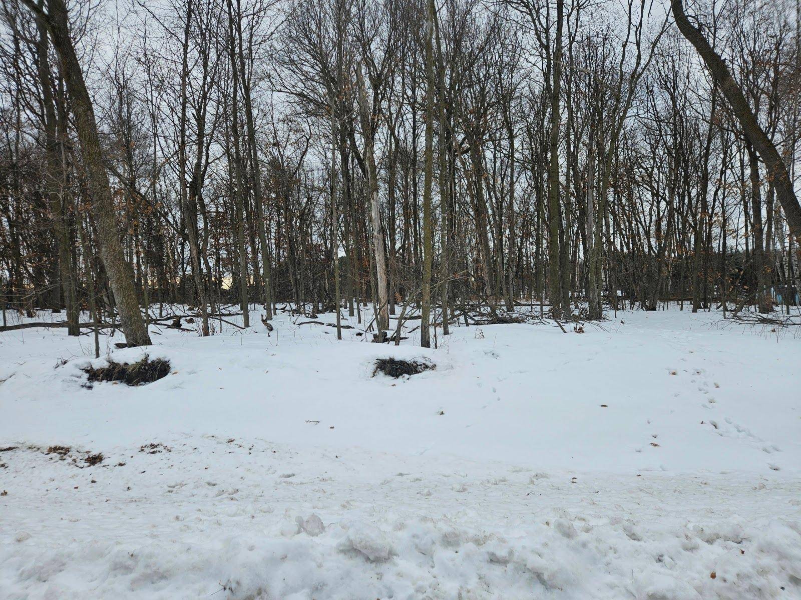 Lot 1, Block 3 2 1/2 AVE NE, Saint Stephen, MN 56375