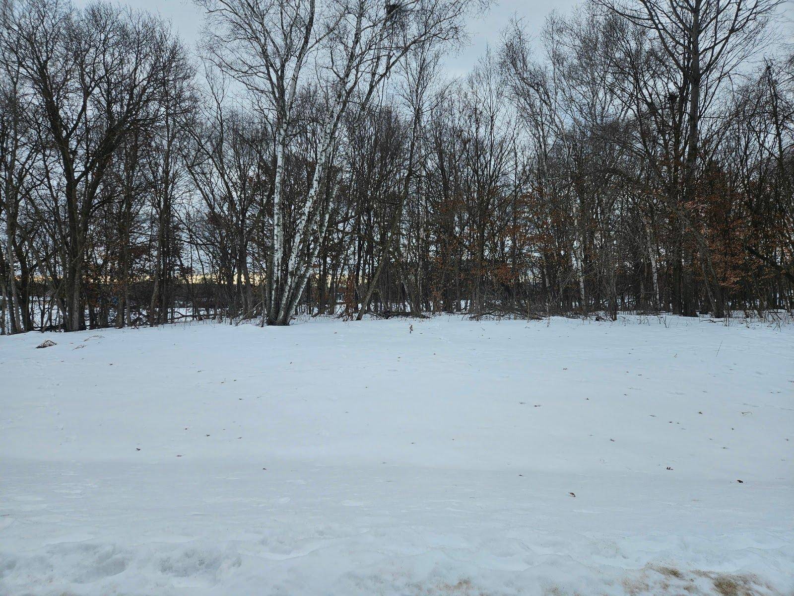 Lot 2, Block 3 2 1/2 AVE NE, Saint Stephen, MN 56375